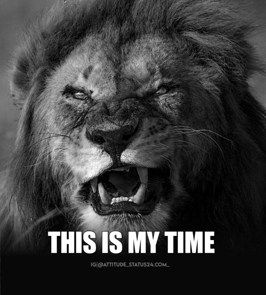 [501+] Best Attitude Status in English 2021 Funky Life