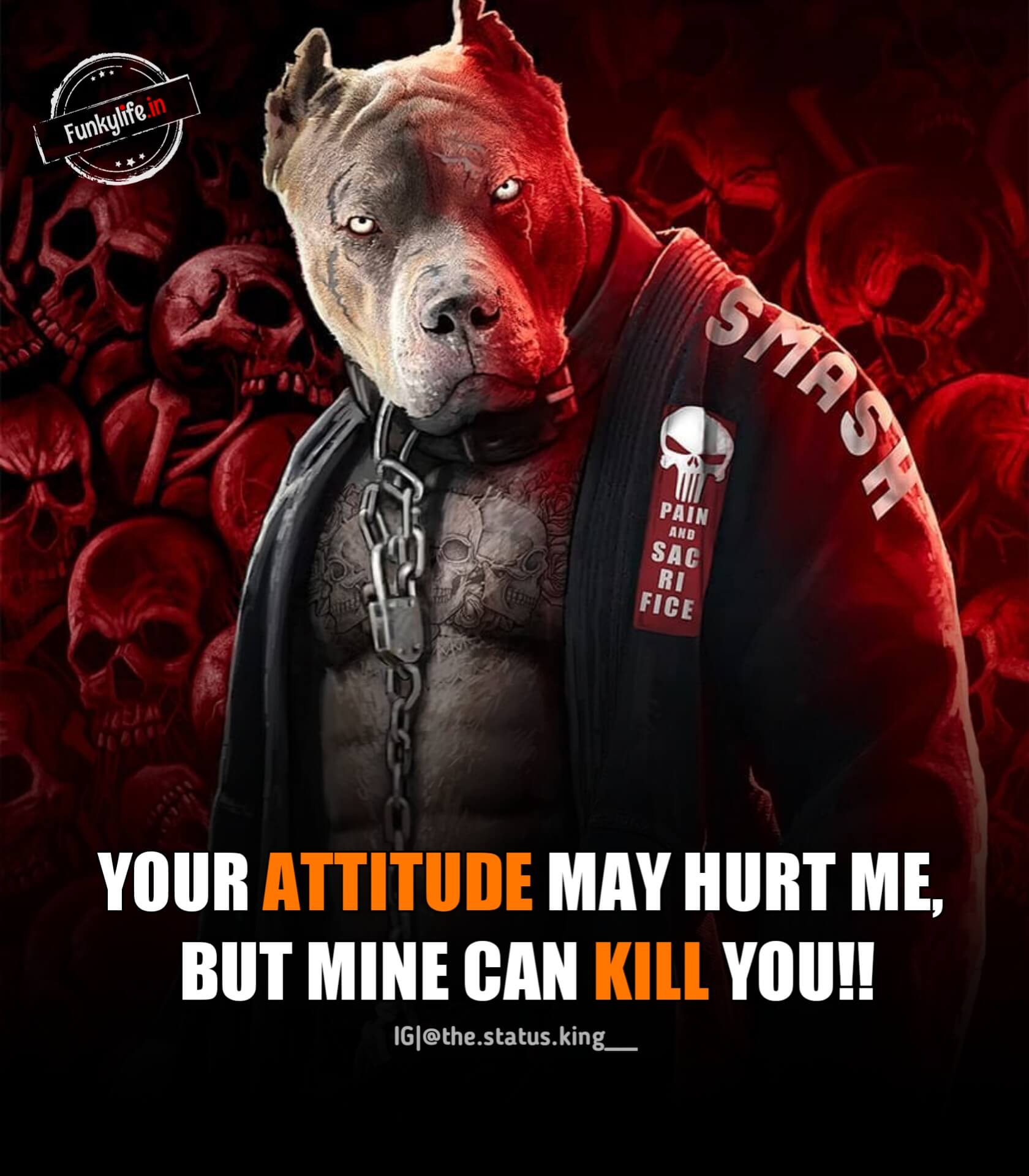 Cool Attitude status image in English