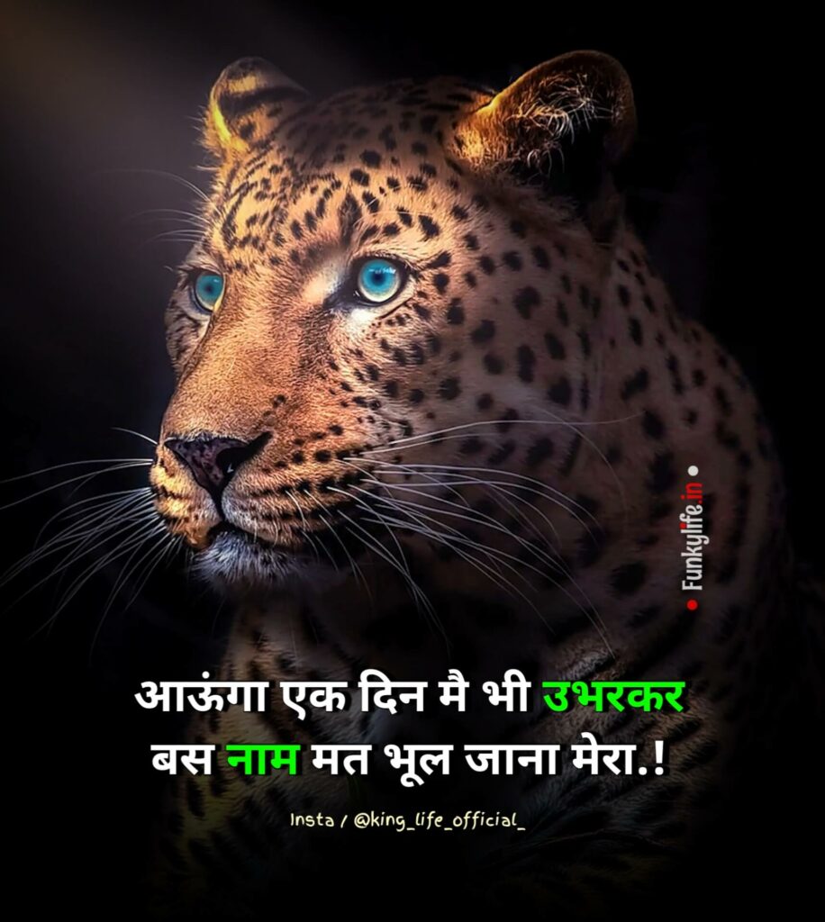 meaningful quotes in Hindi with pictures