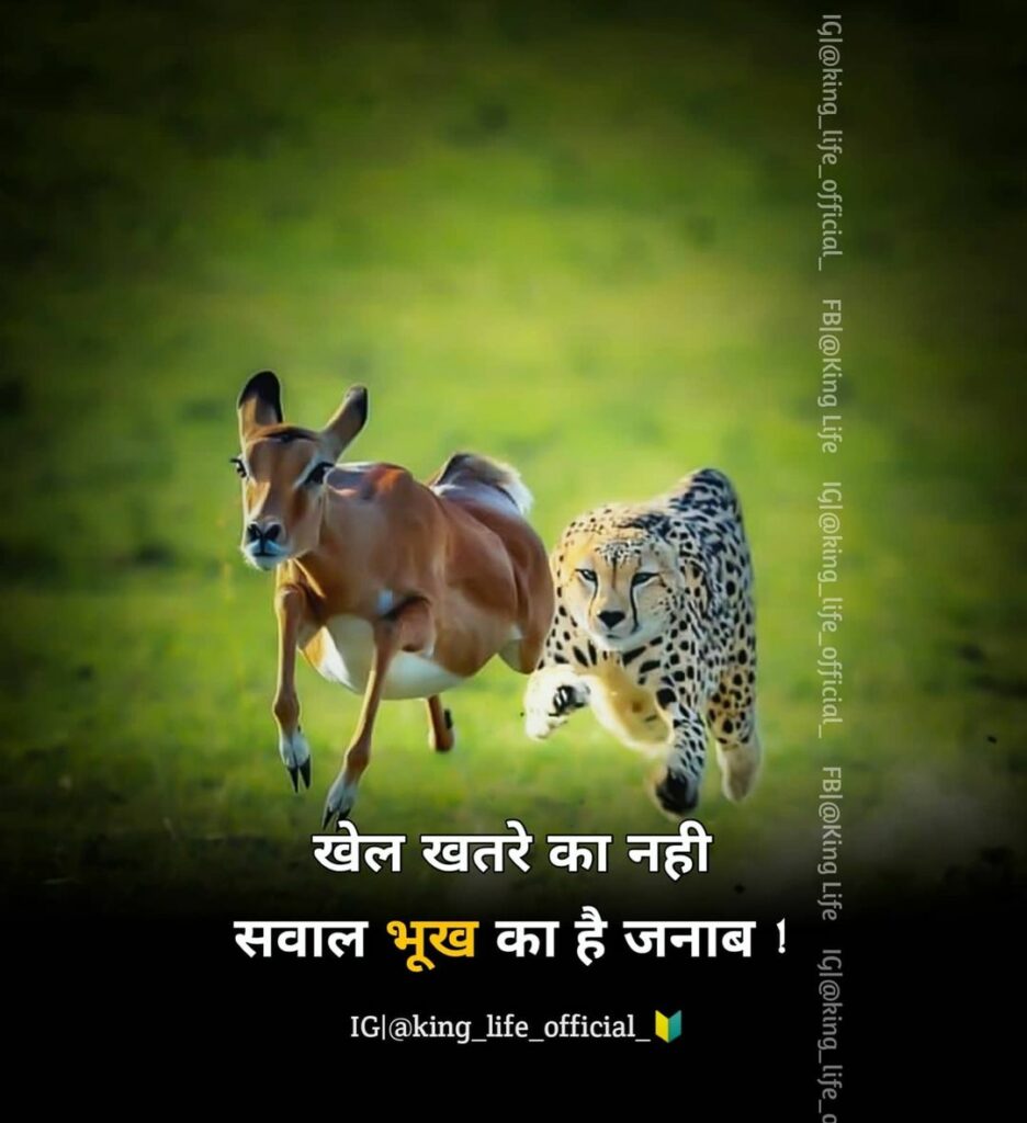 Hindi Motivational Quotes DP for life