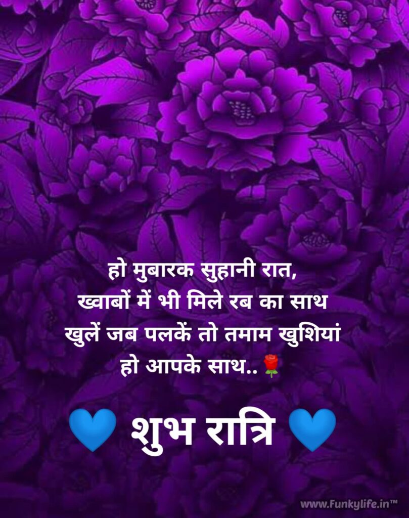 Good Night Shayari In Hindi Funkylife #6