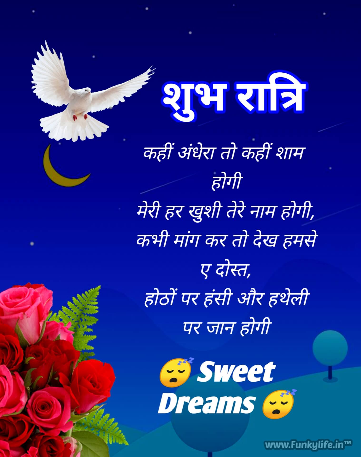 Good Night Shayari In Hindi Funkylife #7