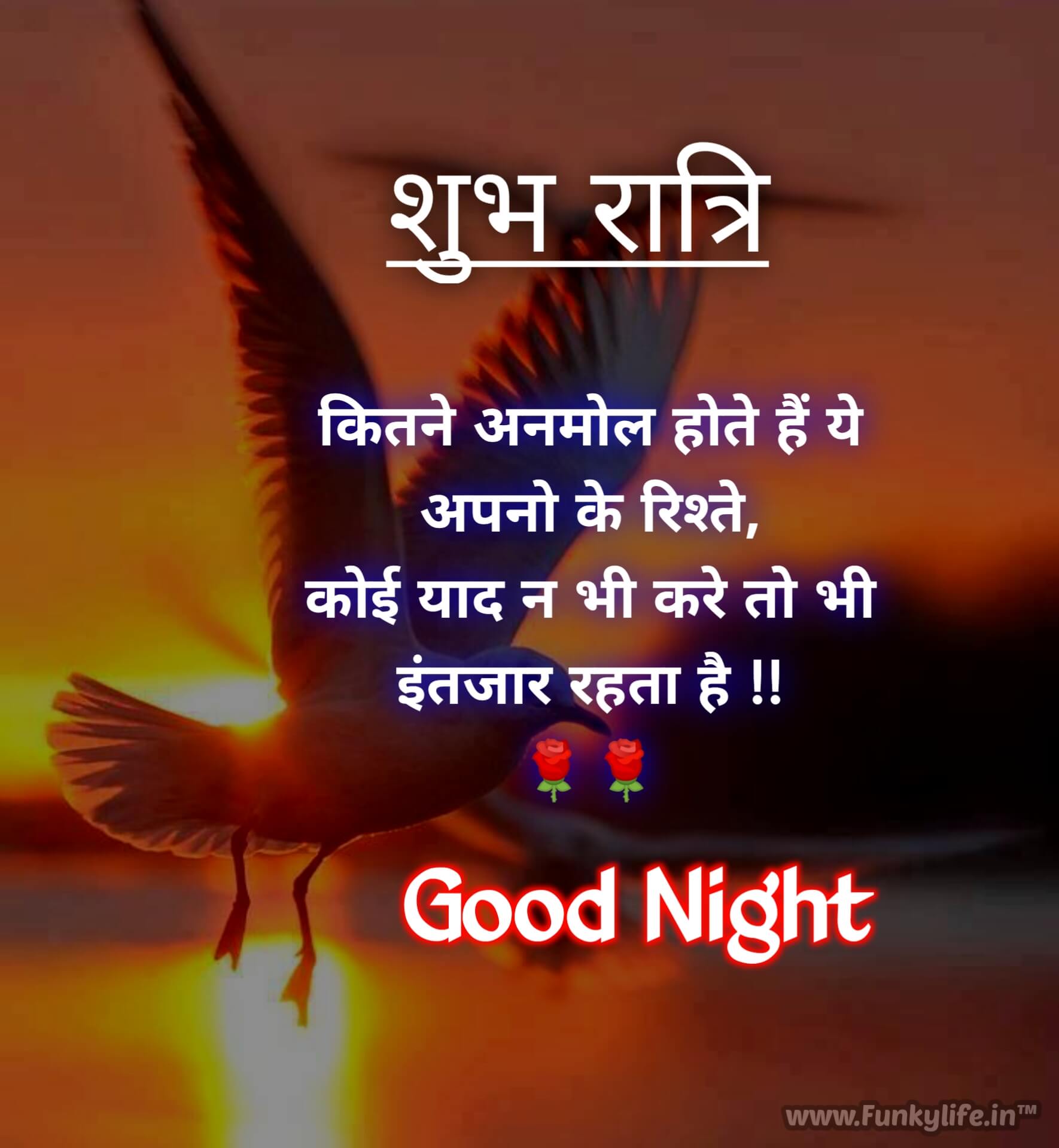 Good Night Shayari In Hindi Funkylife #10