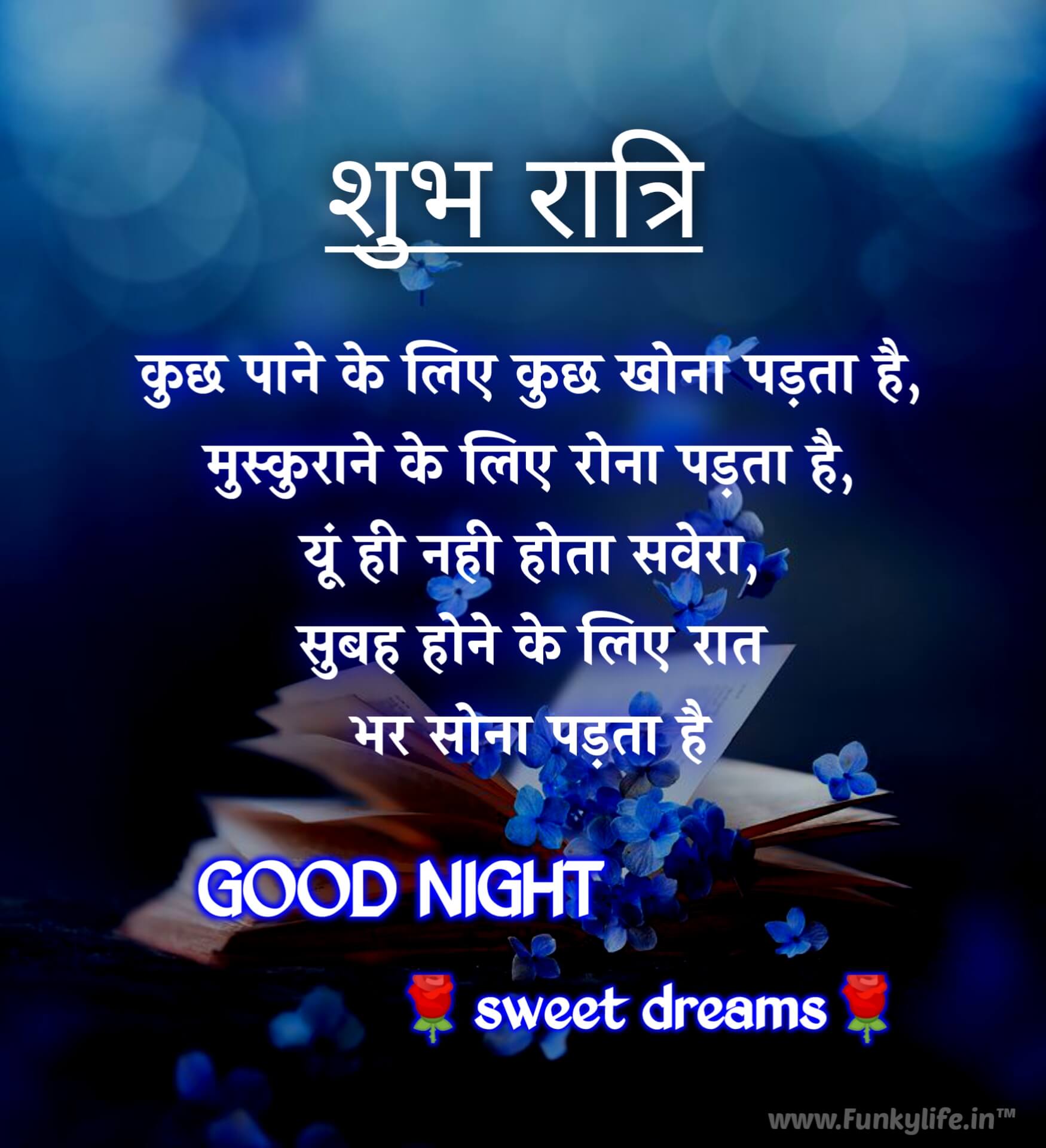 Good Night Shayari In Hindi Funkylife #9