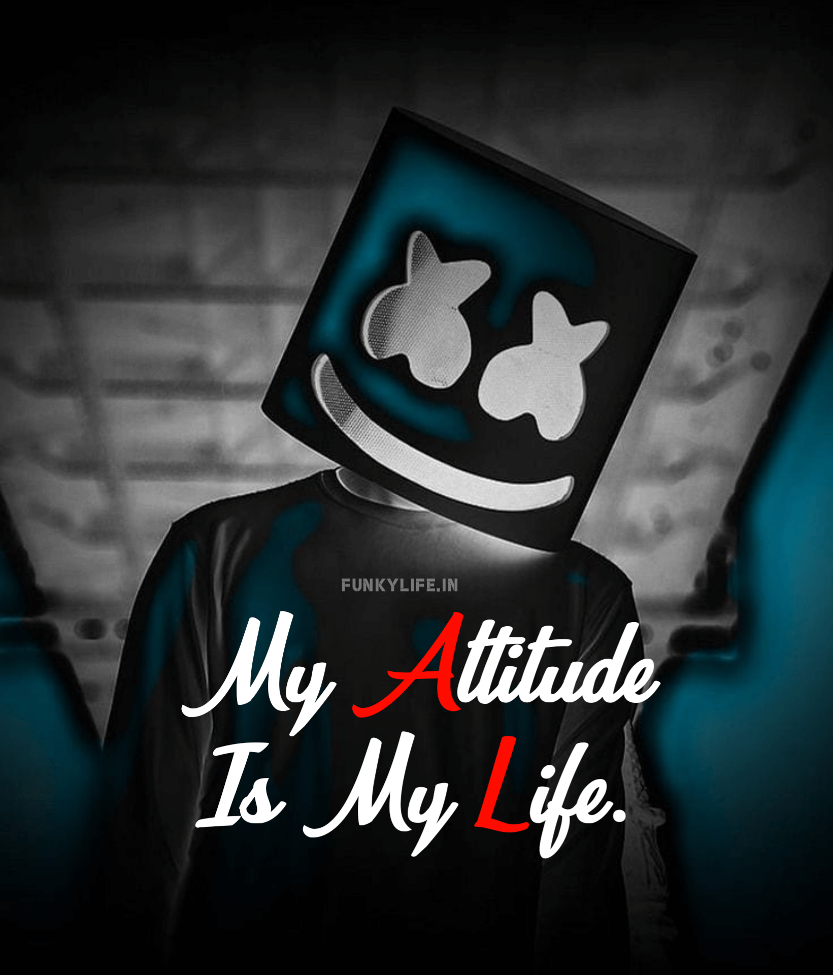 My Attitude Is My Life Profile DP