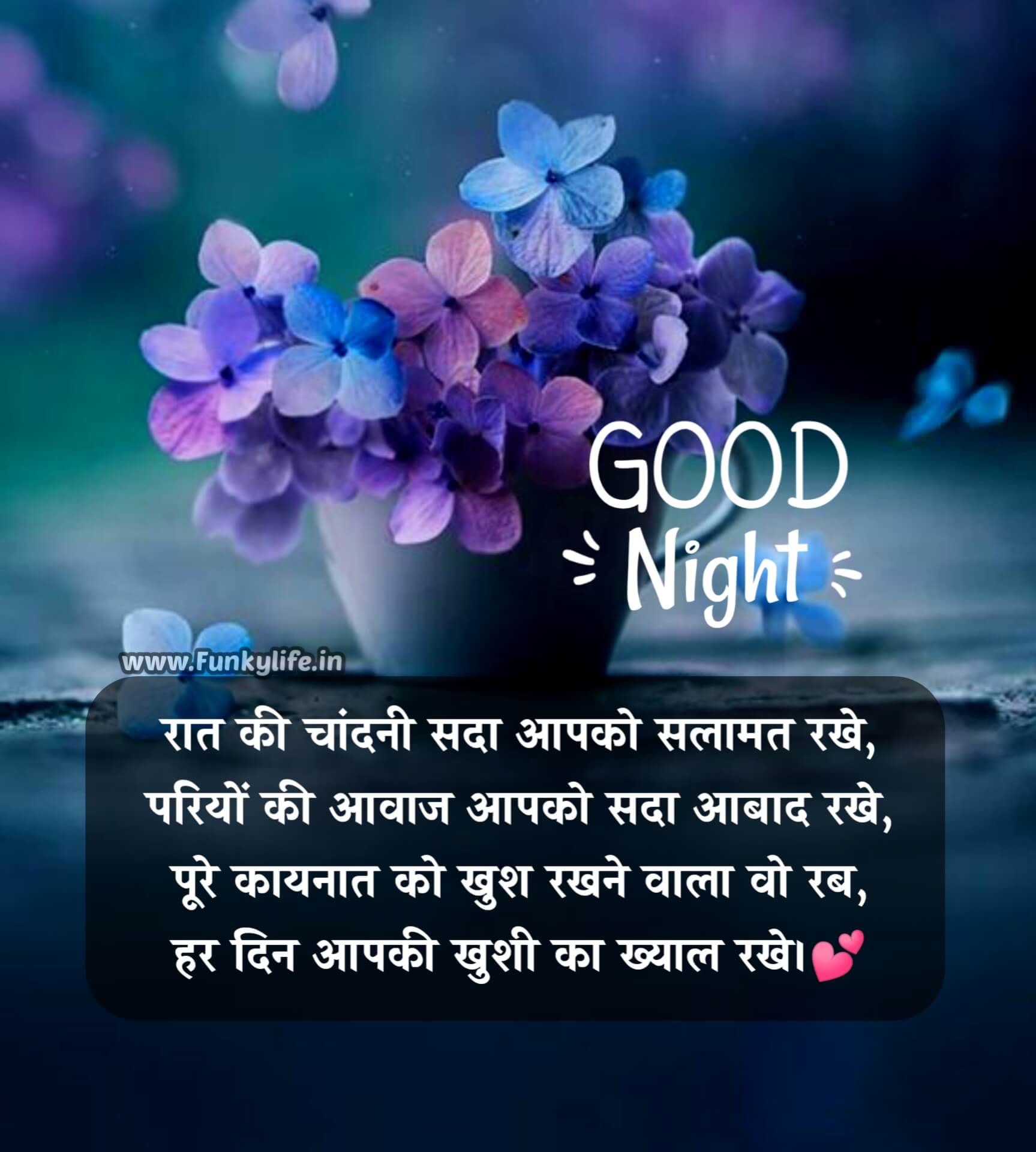 Good Night Shayari