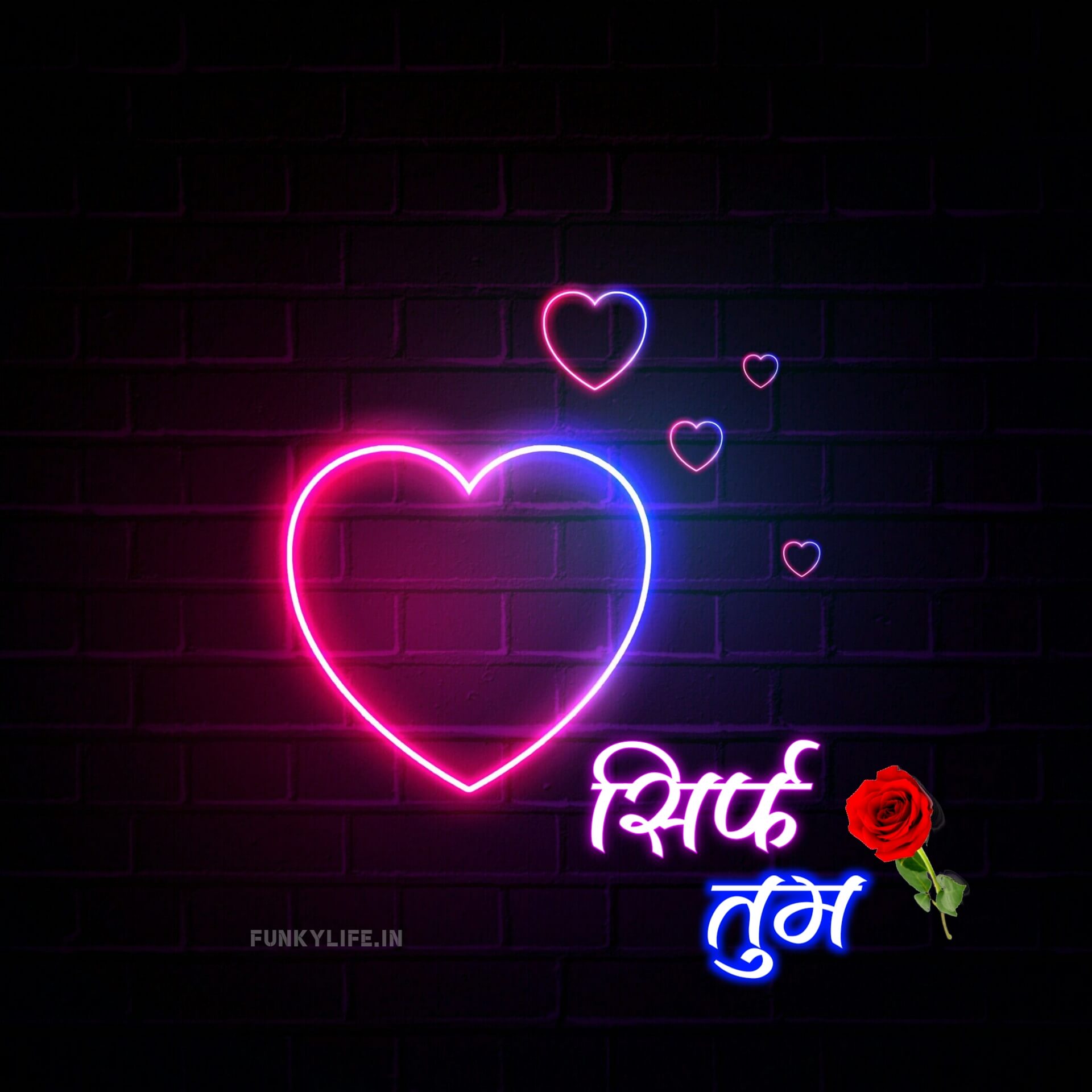 Beautiful Love DP In Hindi