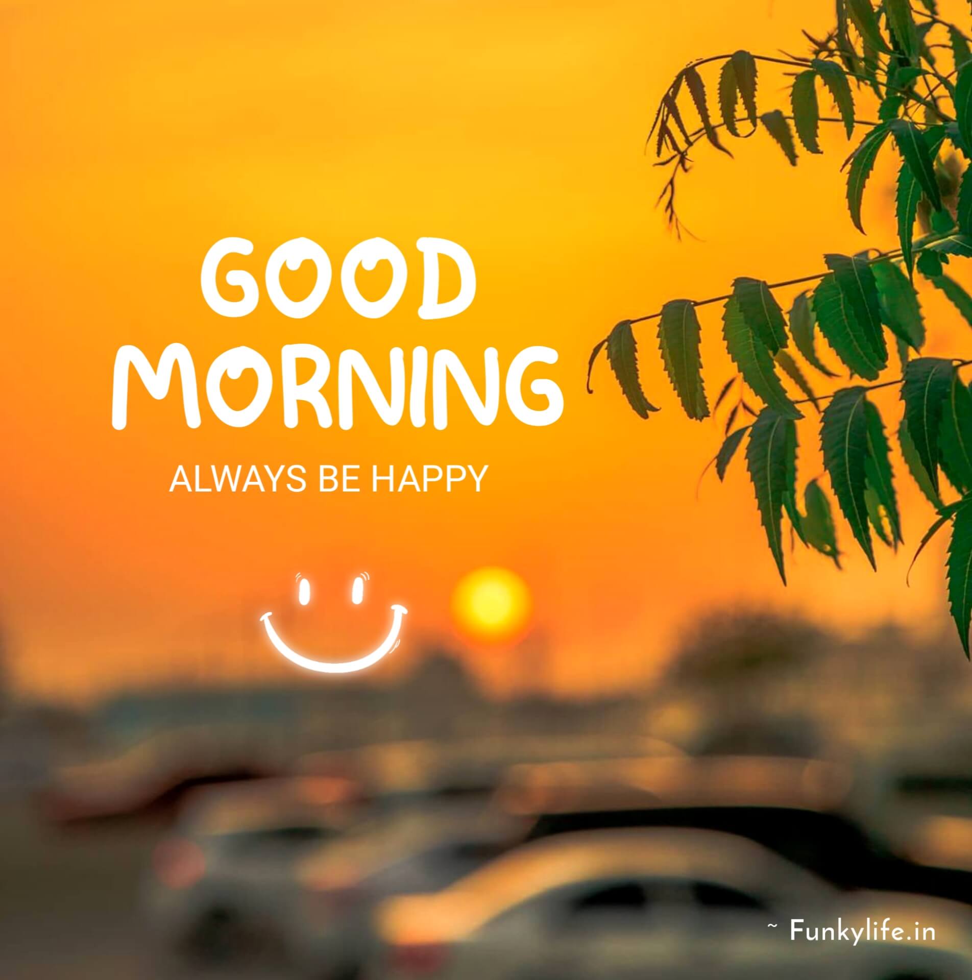 Best Good Morning Images With Smile