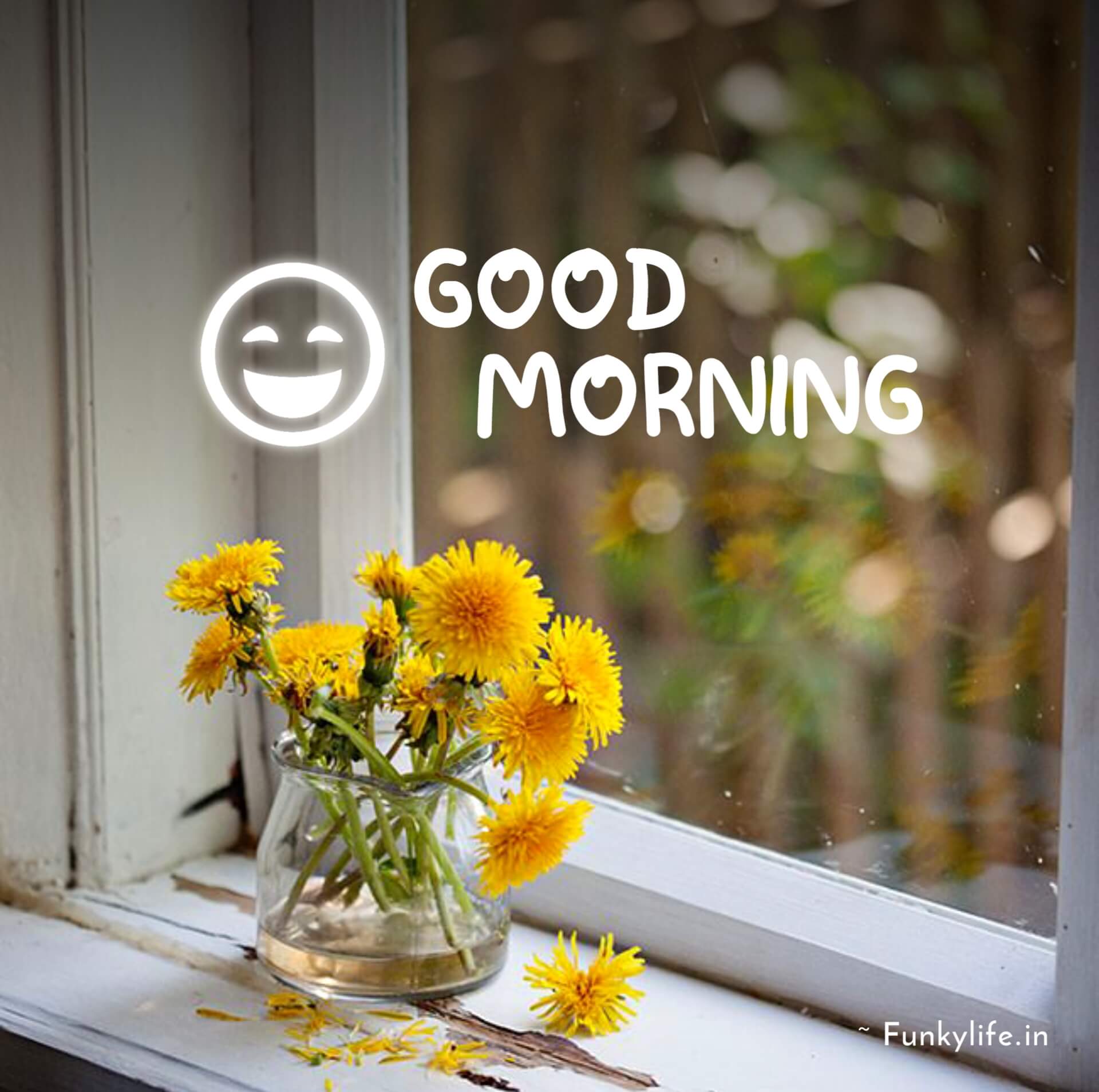 16 Wonderful Morning Smile Wishes  Morning Greetings  Morning Quotes And  Wishes Images