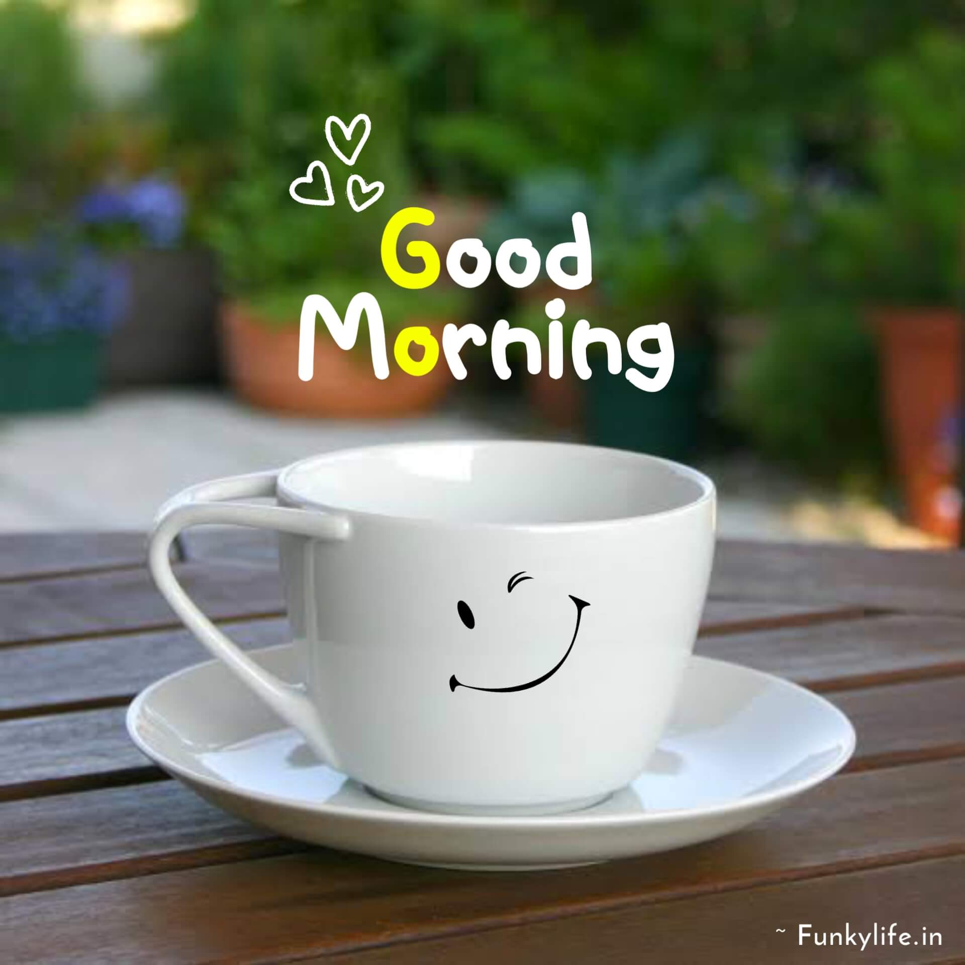 Best Good Morning Images With Smile
