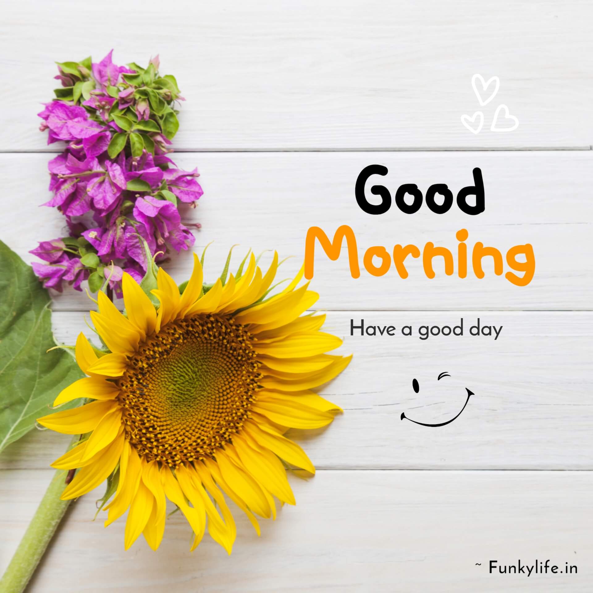 Best Good Morning Images With Smile