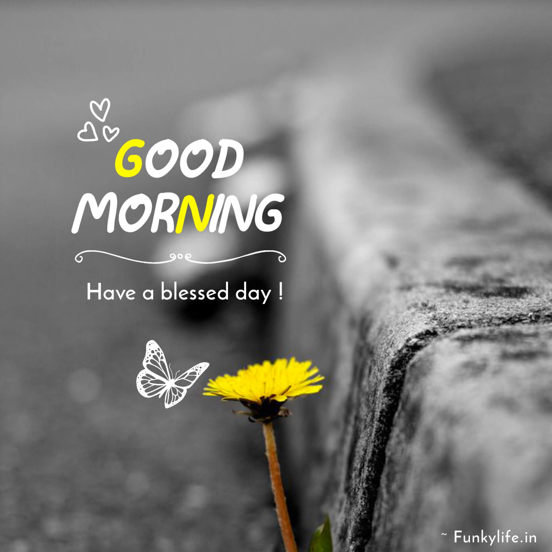 Good Morning SMS Photos