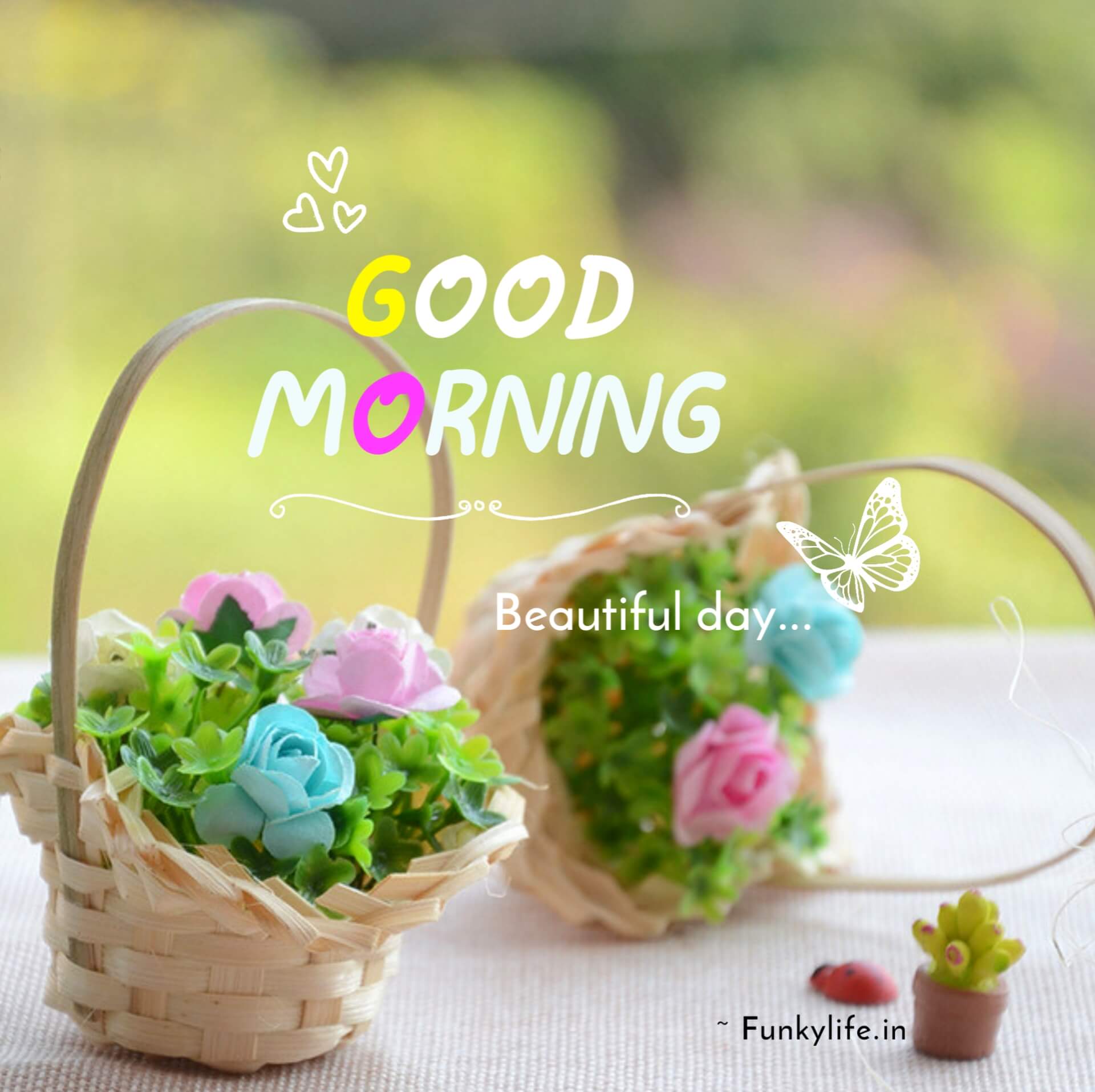 Flower Basket Good Morning Image