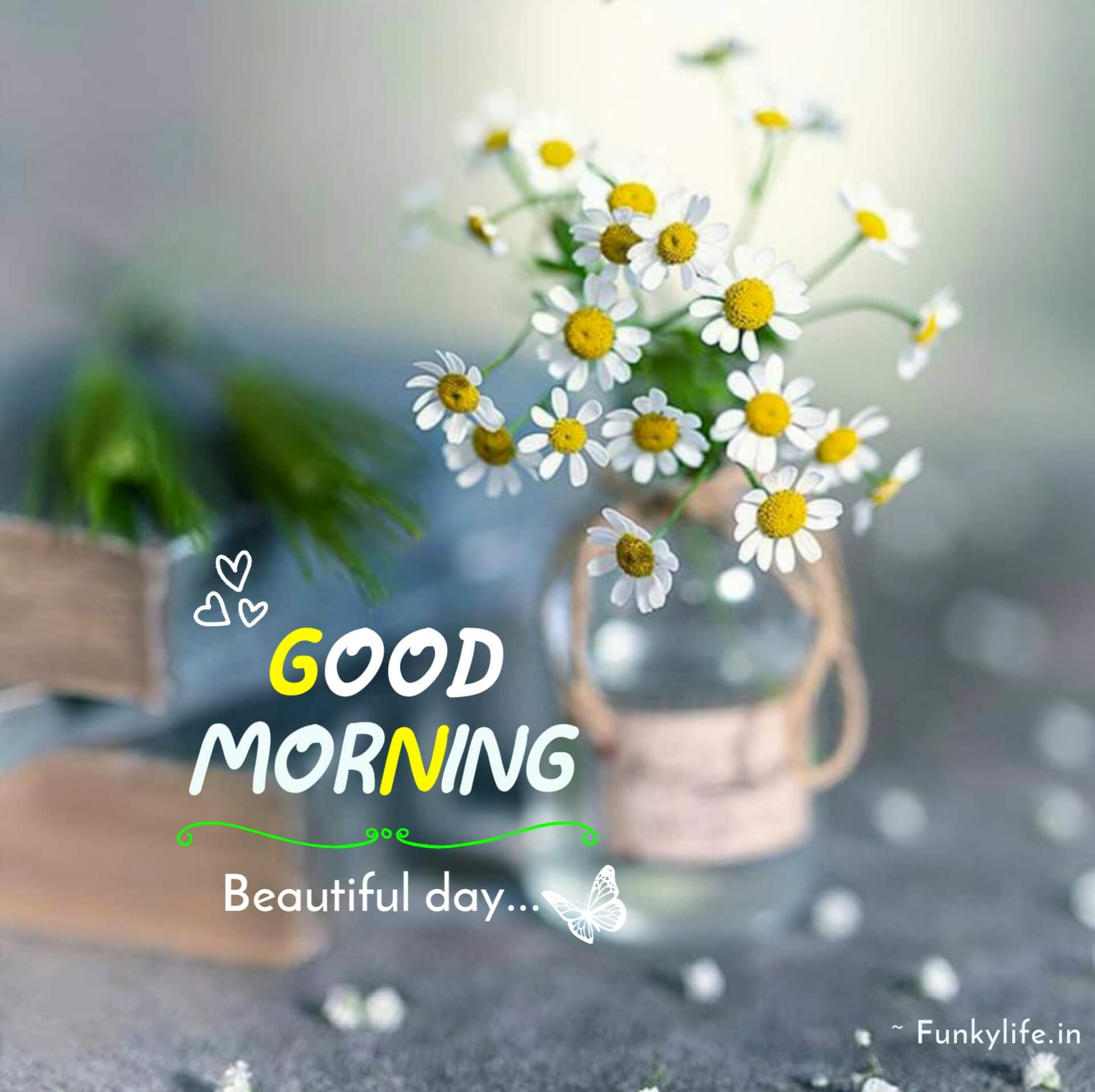 Beautiful Flowers good morning