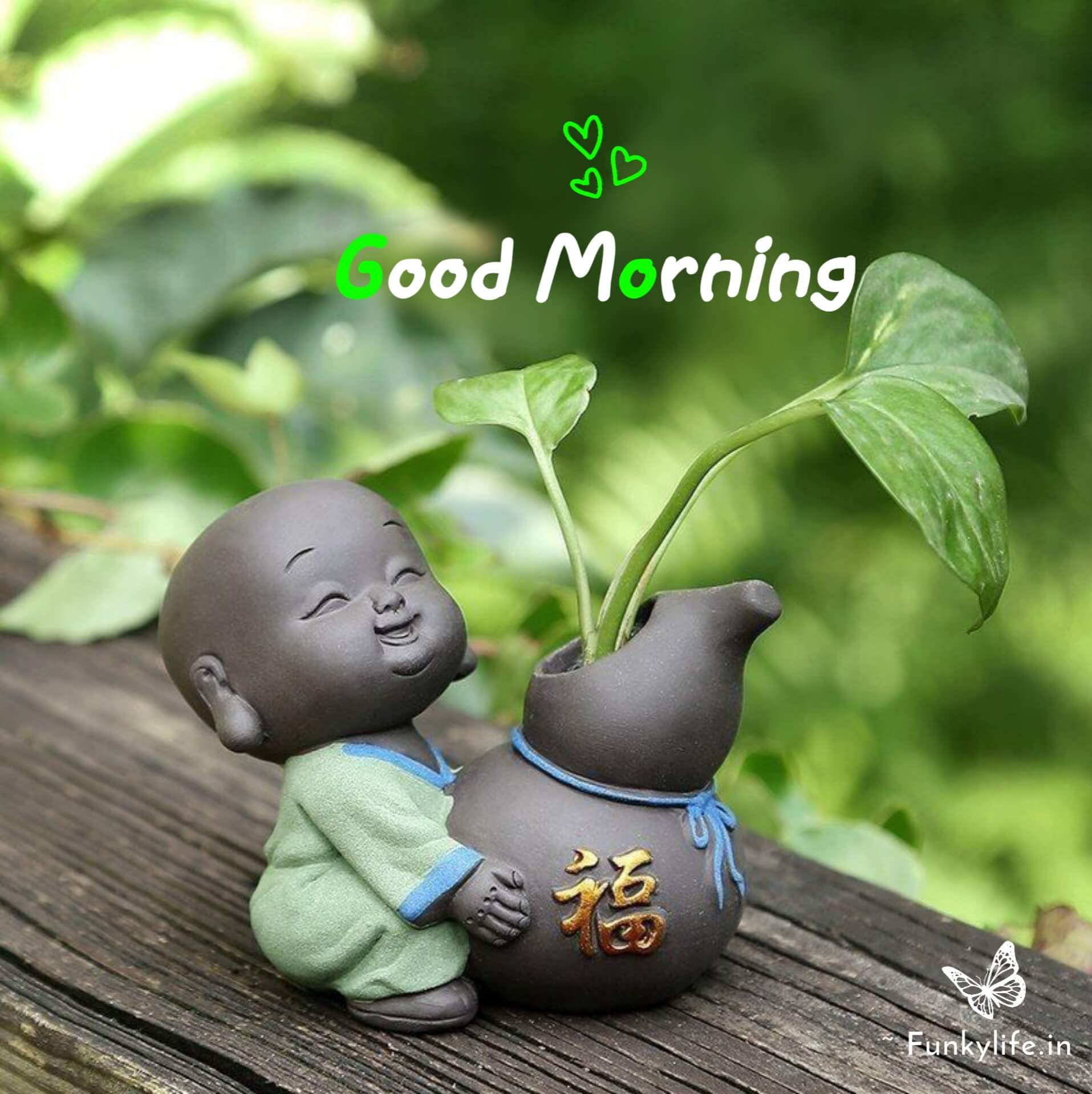 Buddha Good Morning Images
