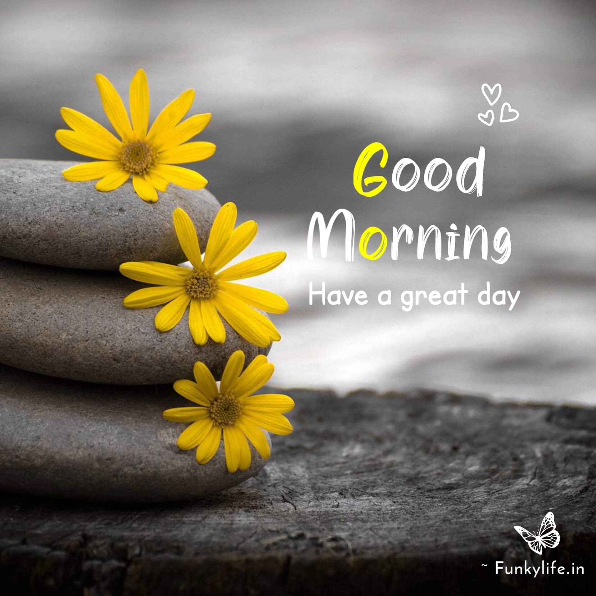Good Morning Wishes images