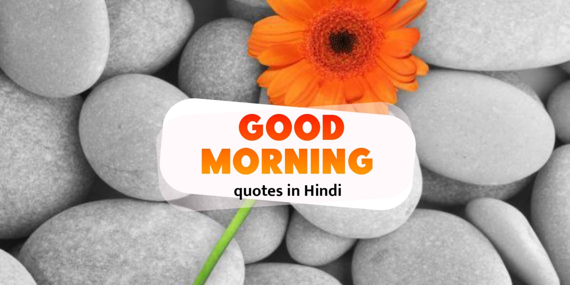 Good Morning Quotes in Hindi