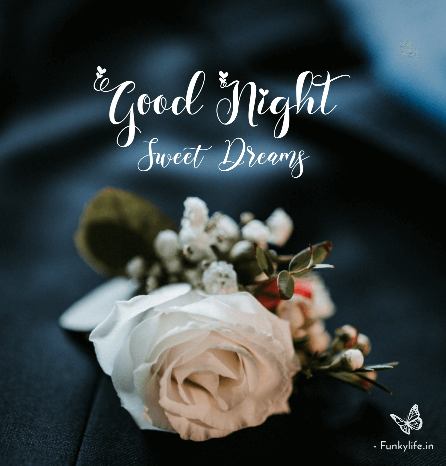 Good Night Flower Message Images