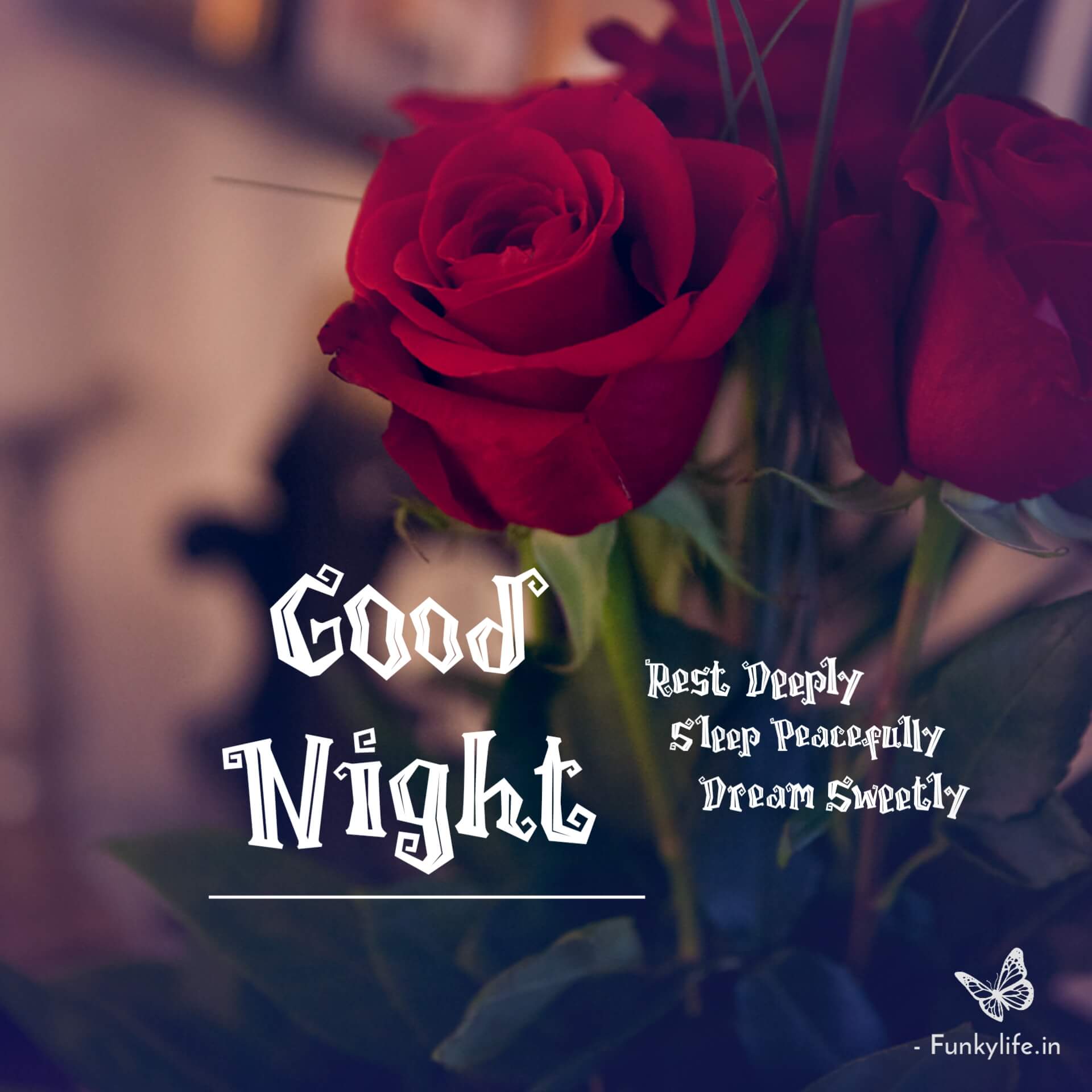 Good Night Messages Images