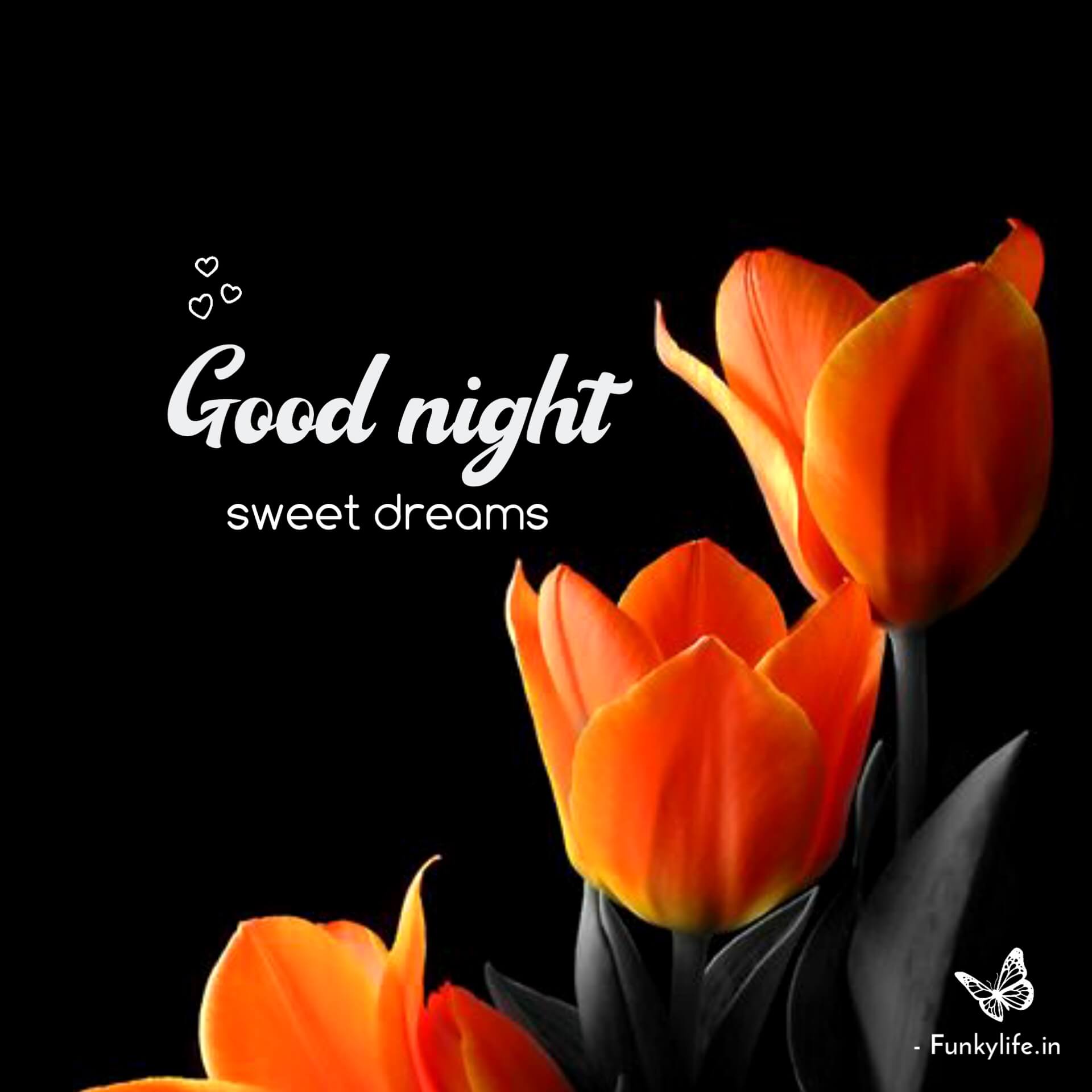 Good Night Sweet Dreams Flowers