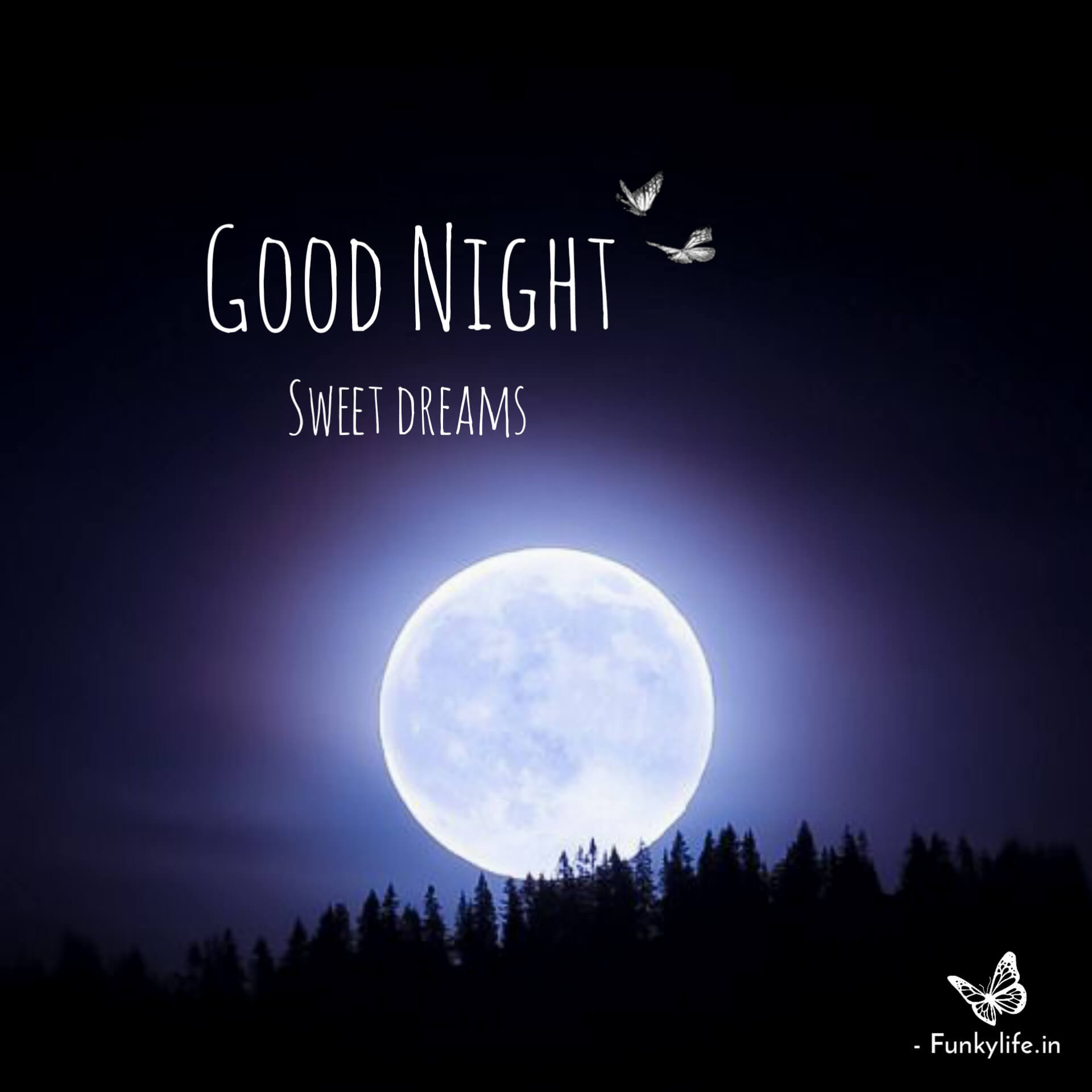 500+ Beautiful Good Night Images for 2024