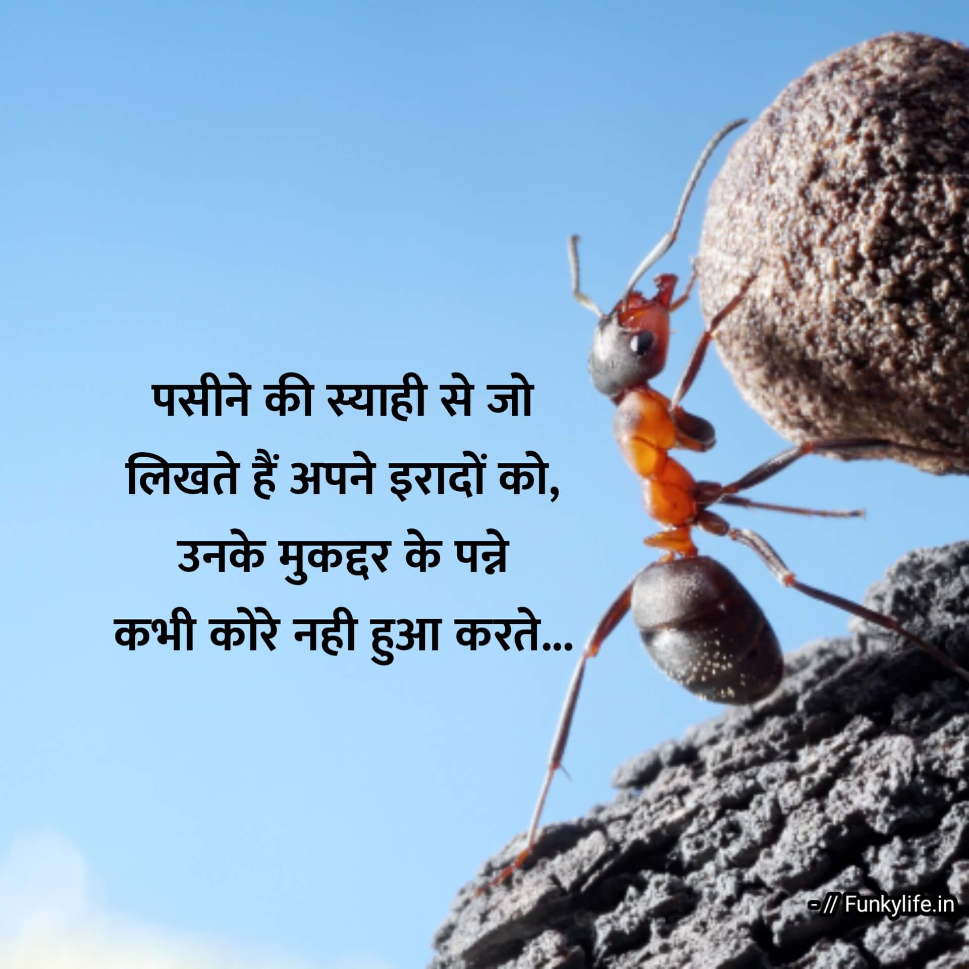 Inspirational Suvichar in Hindi Thoughts