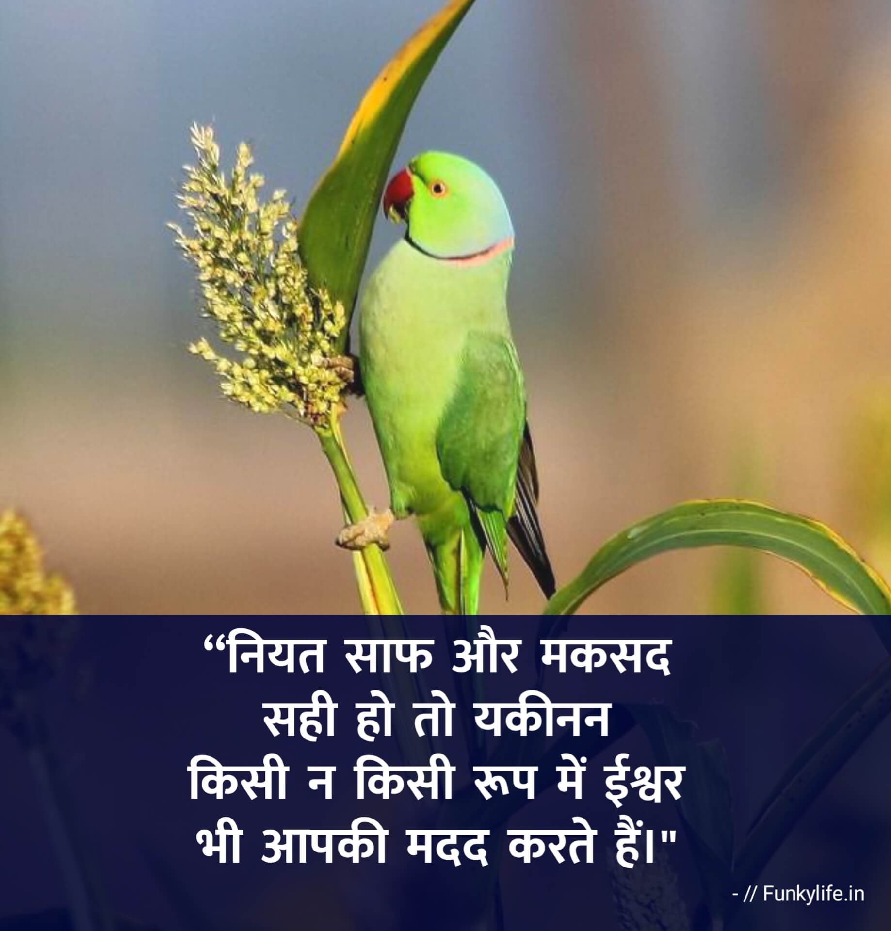 Inspirational Thought Suvichar