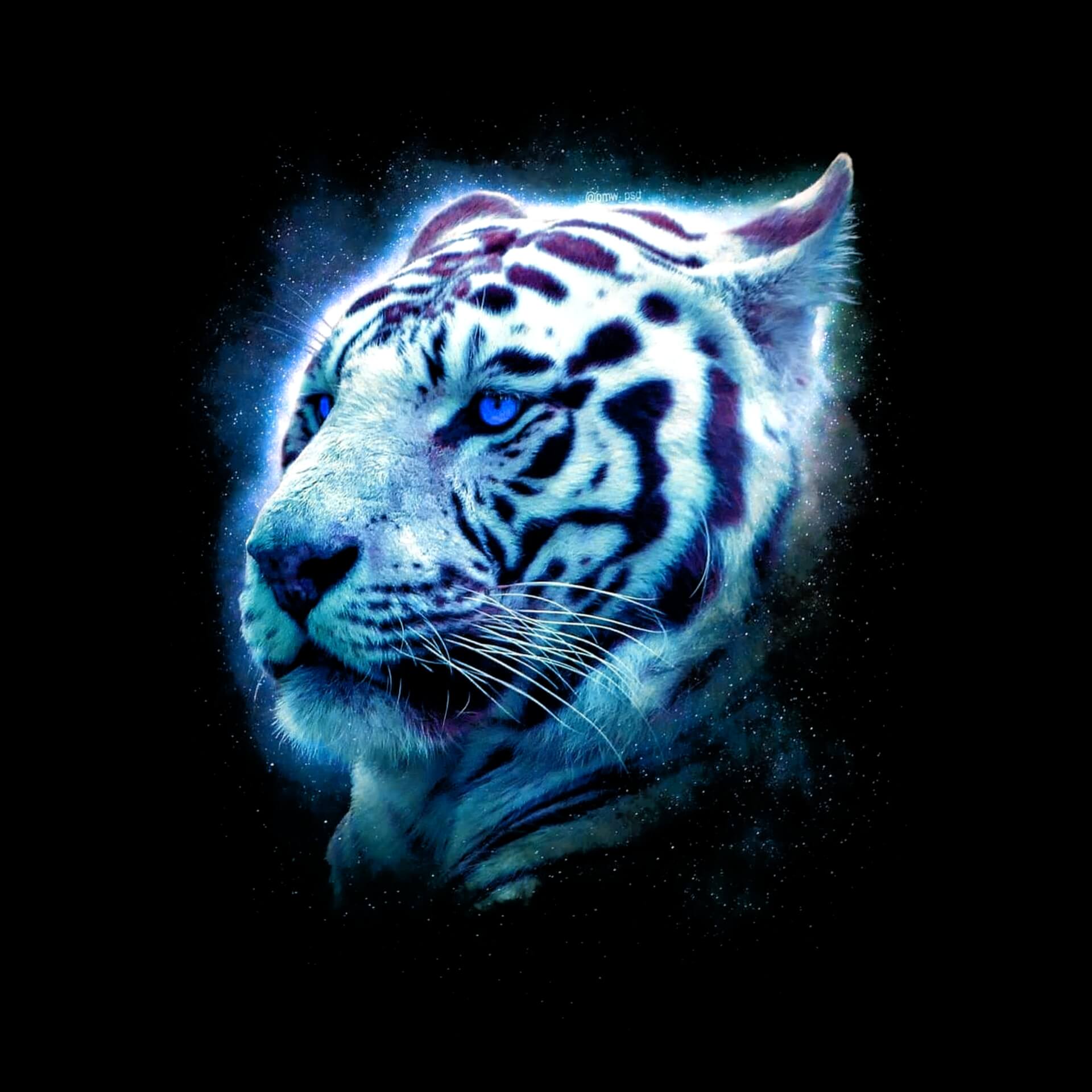 Tiger WhatsApp DP