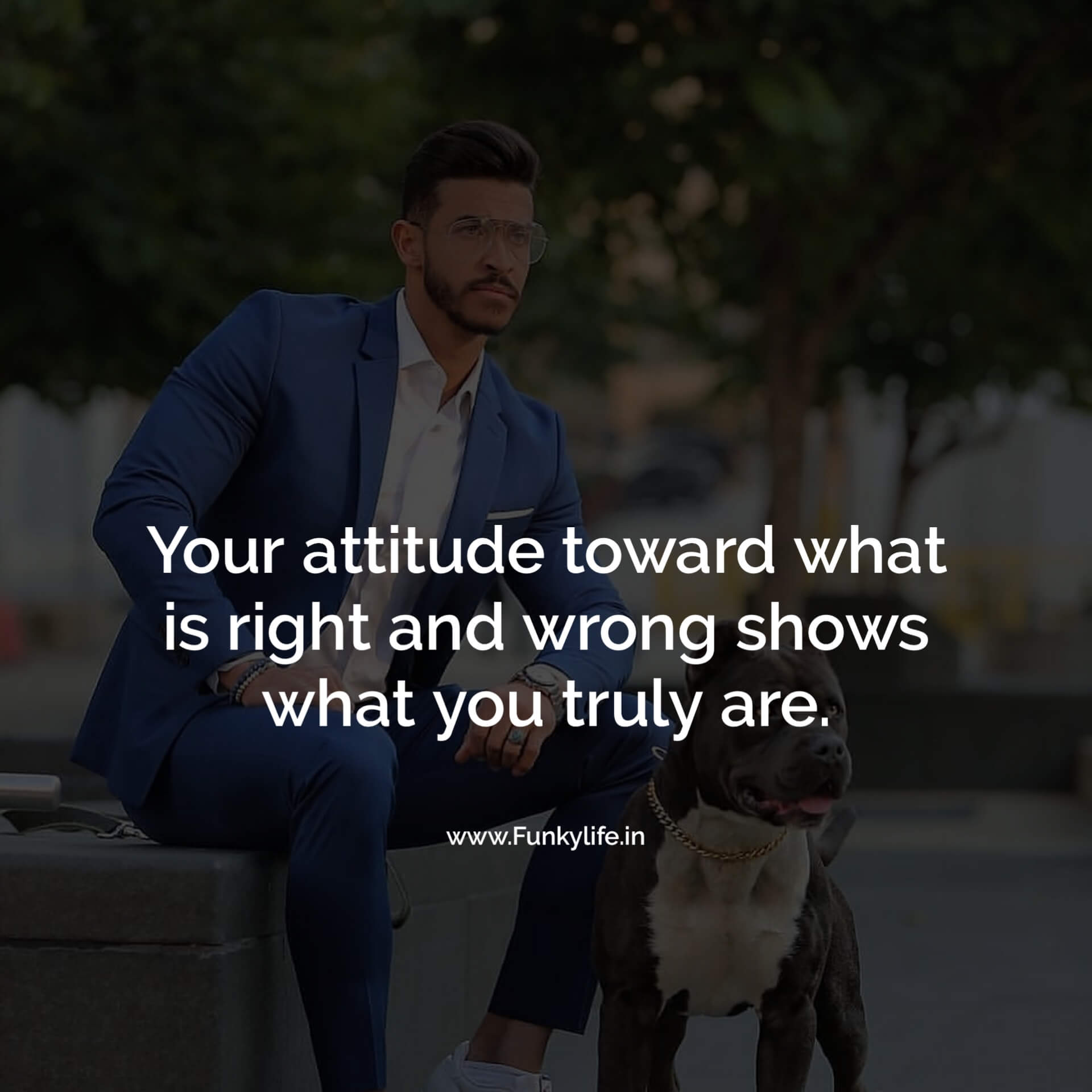 Attitude Quotes