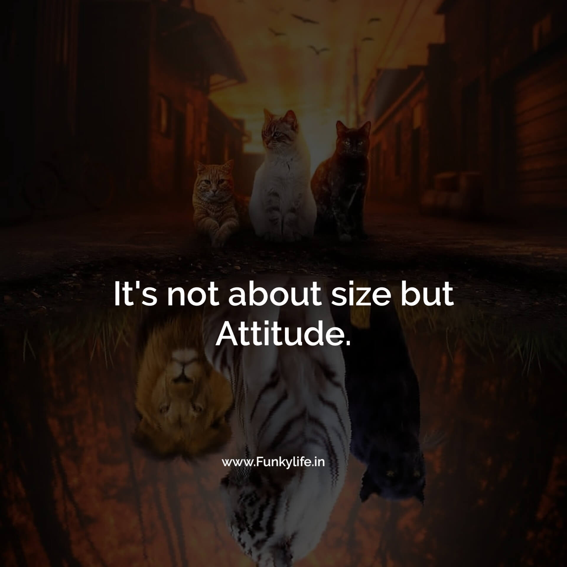 150+ BEST Attitude Quotes in English With Images - Funky Life