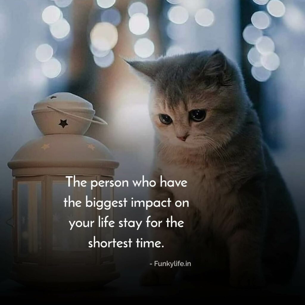 150+ Emotional Quotes About Life and Love 2021 | Deep Feeling Quotes