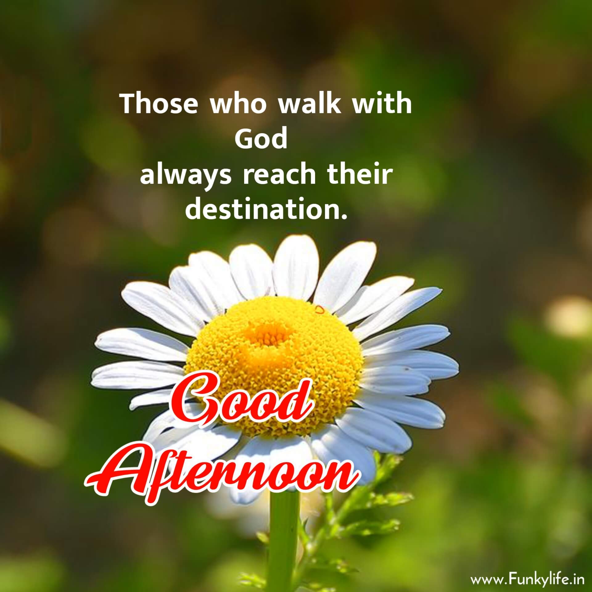 Refresh Your Afternoon with Good Afternoon Inspirational Quotes