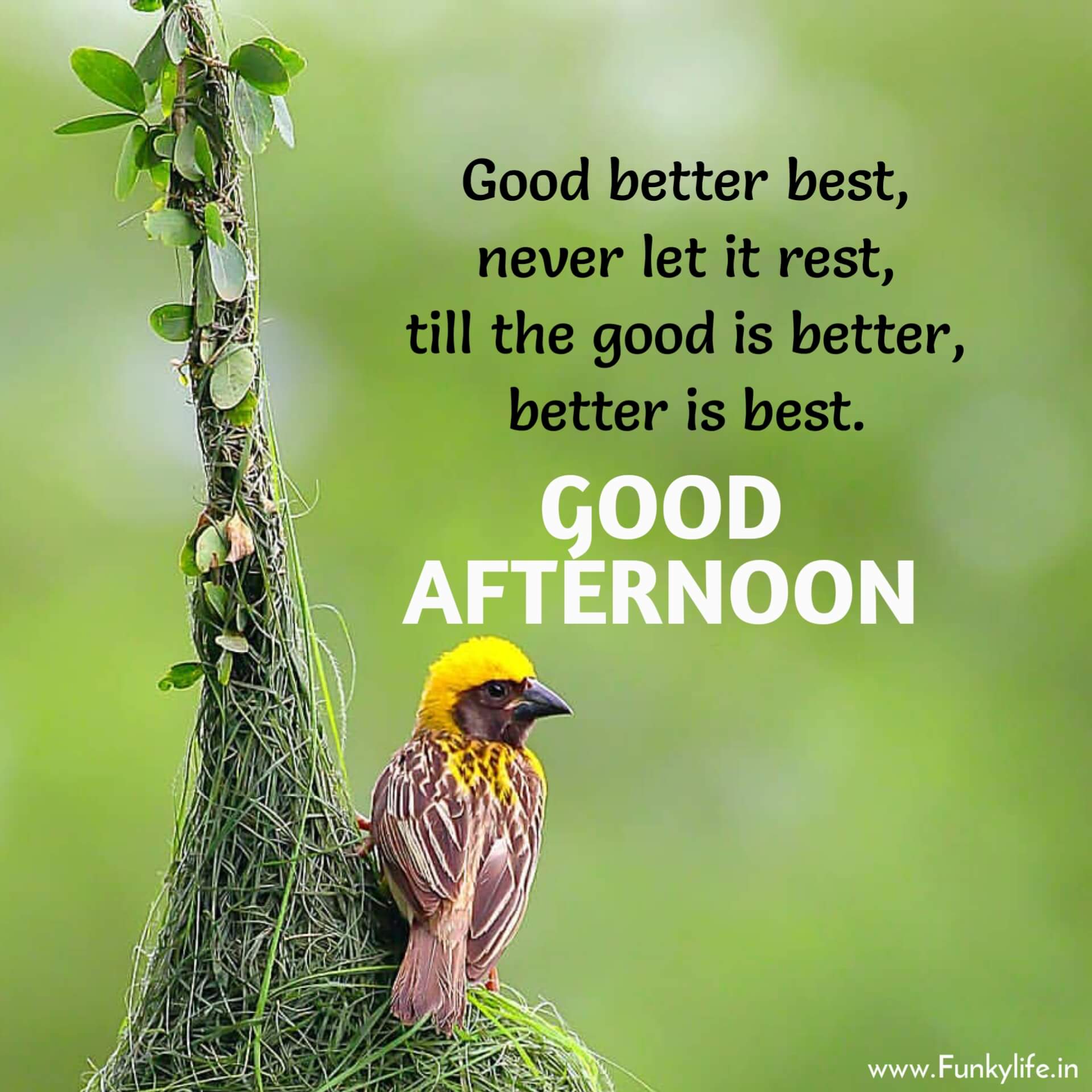 life-is-ten-percent-what-happens-to-you-good-afternoon-quotes