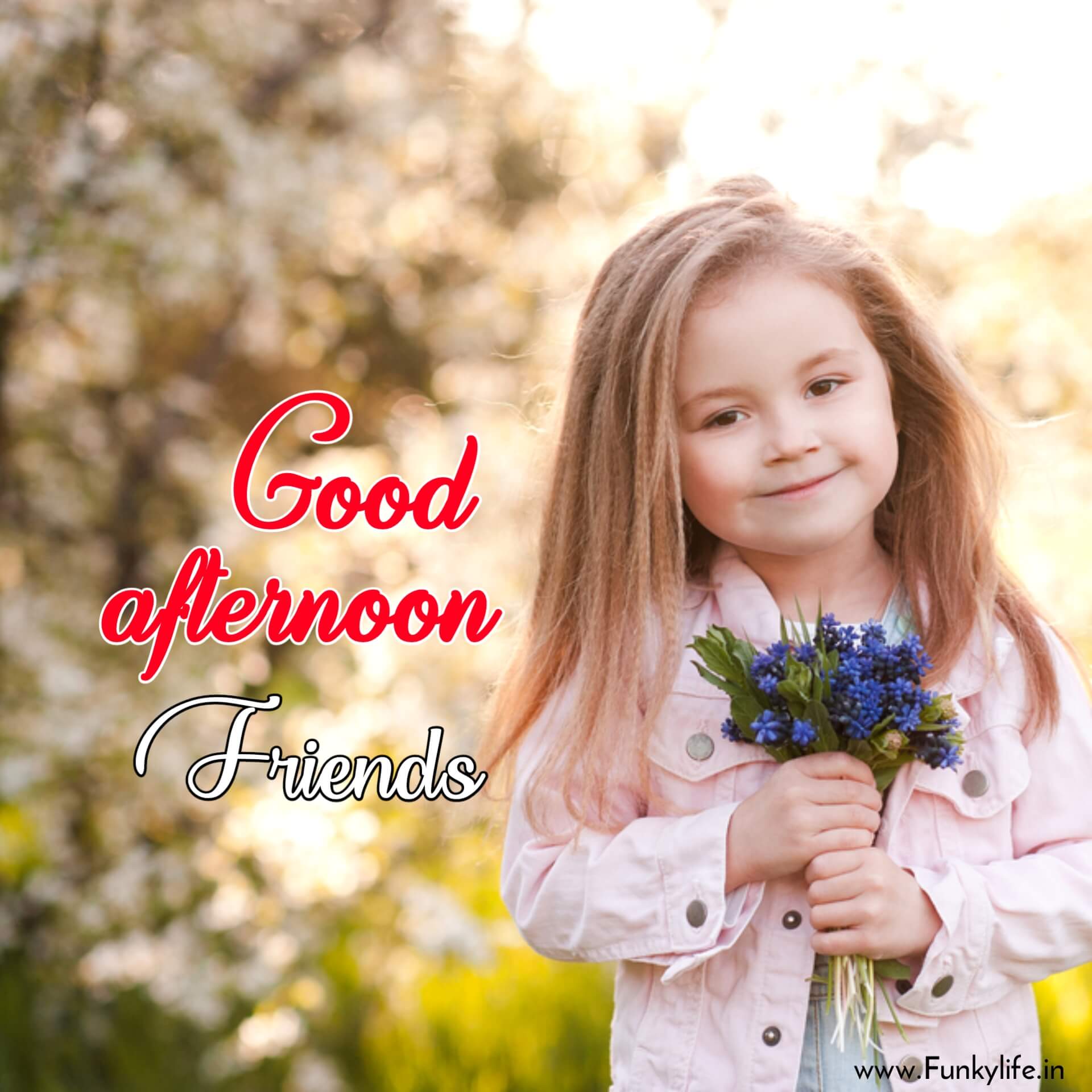 Good Afternoon Images Photo Pic HD Free Download