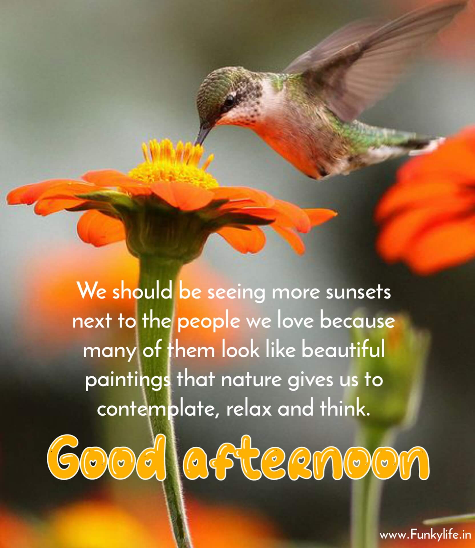 Loving Good Afternoon Images with Quotes