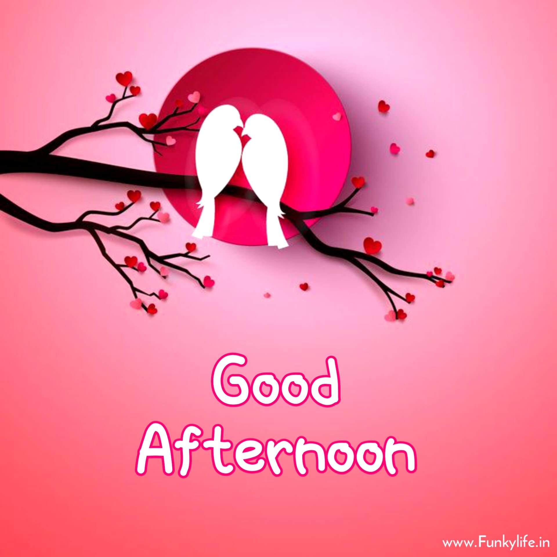 Love Good Afternoon Pic