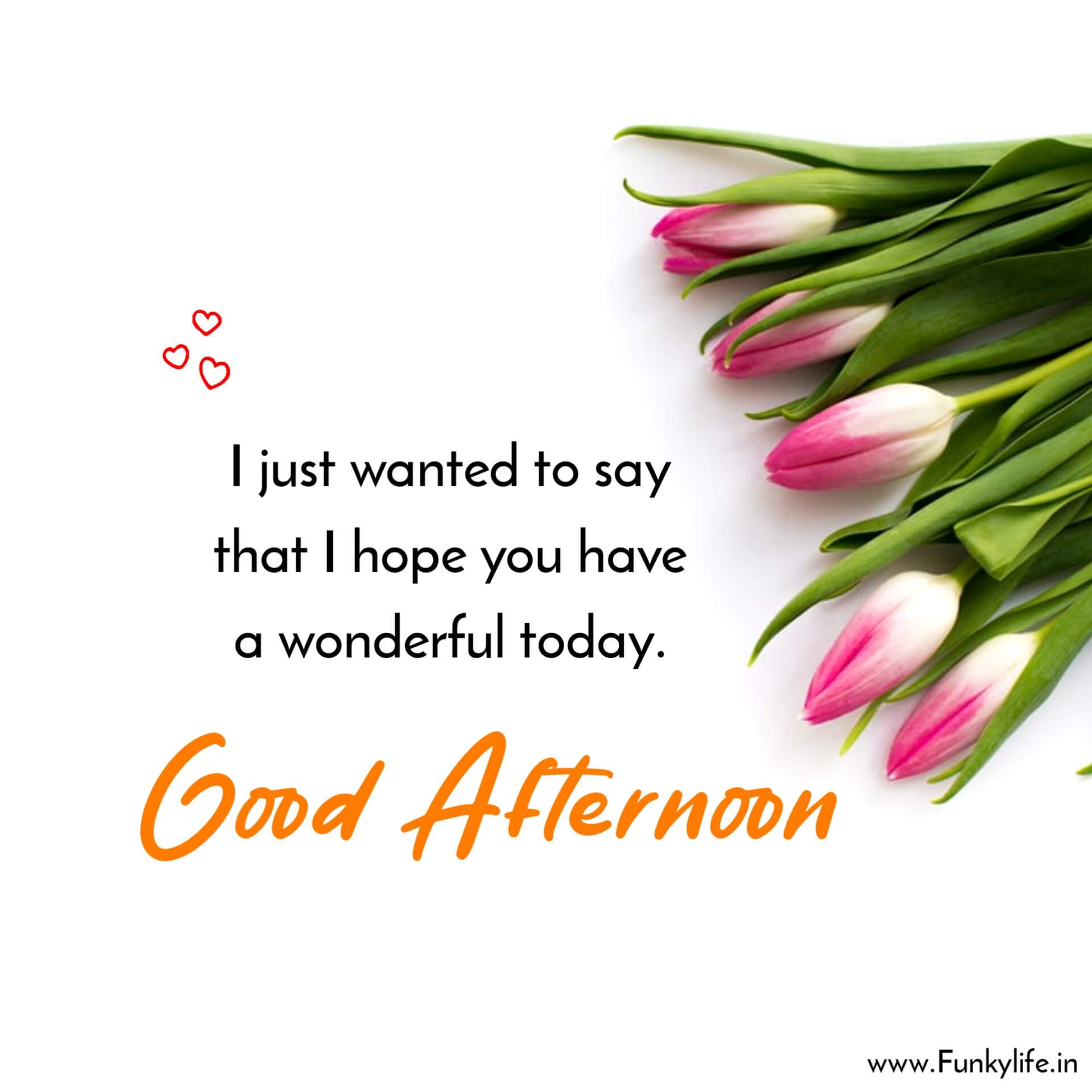 70-good-afternoon-messages-and-quotes-funzumo