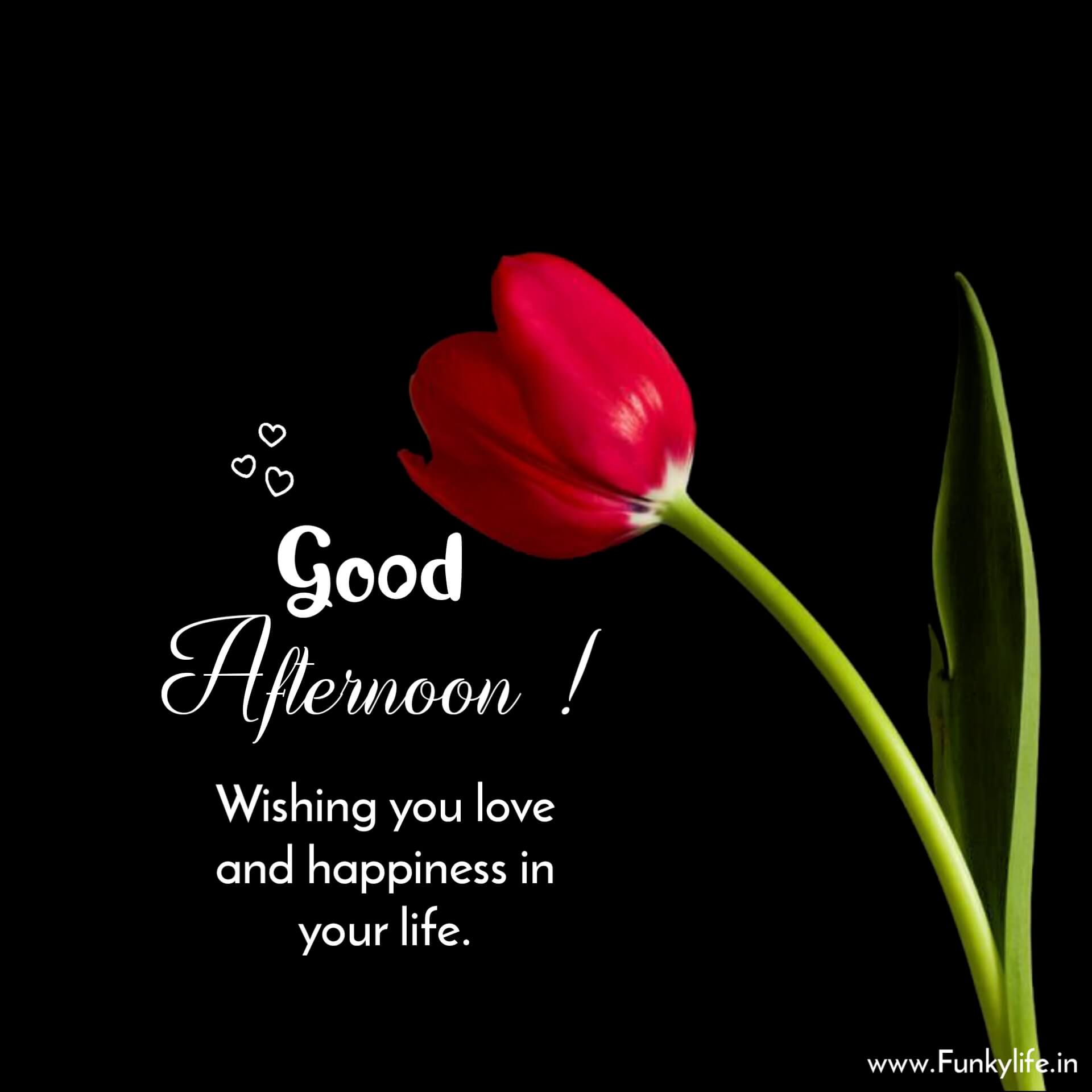 Good Afternoon Wish Image