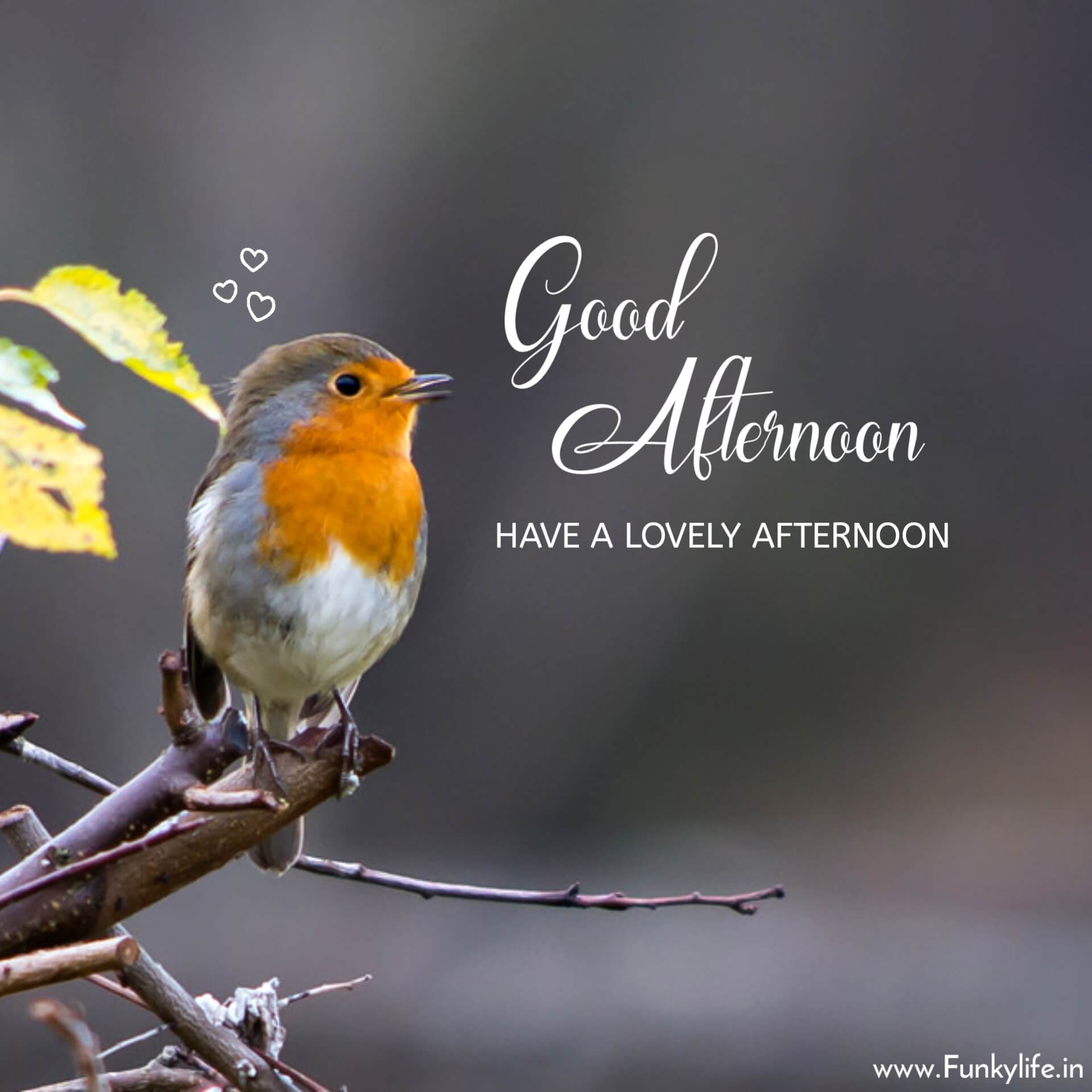 Other Words For Good Afternoon