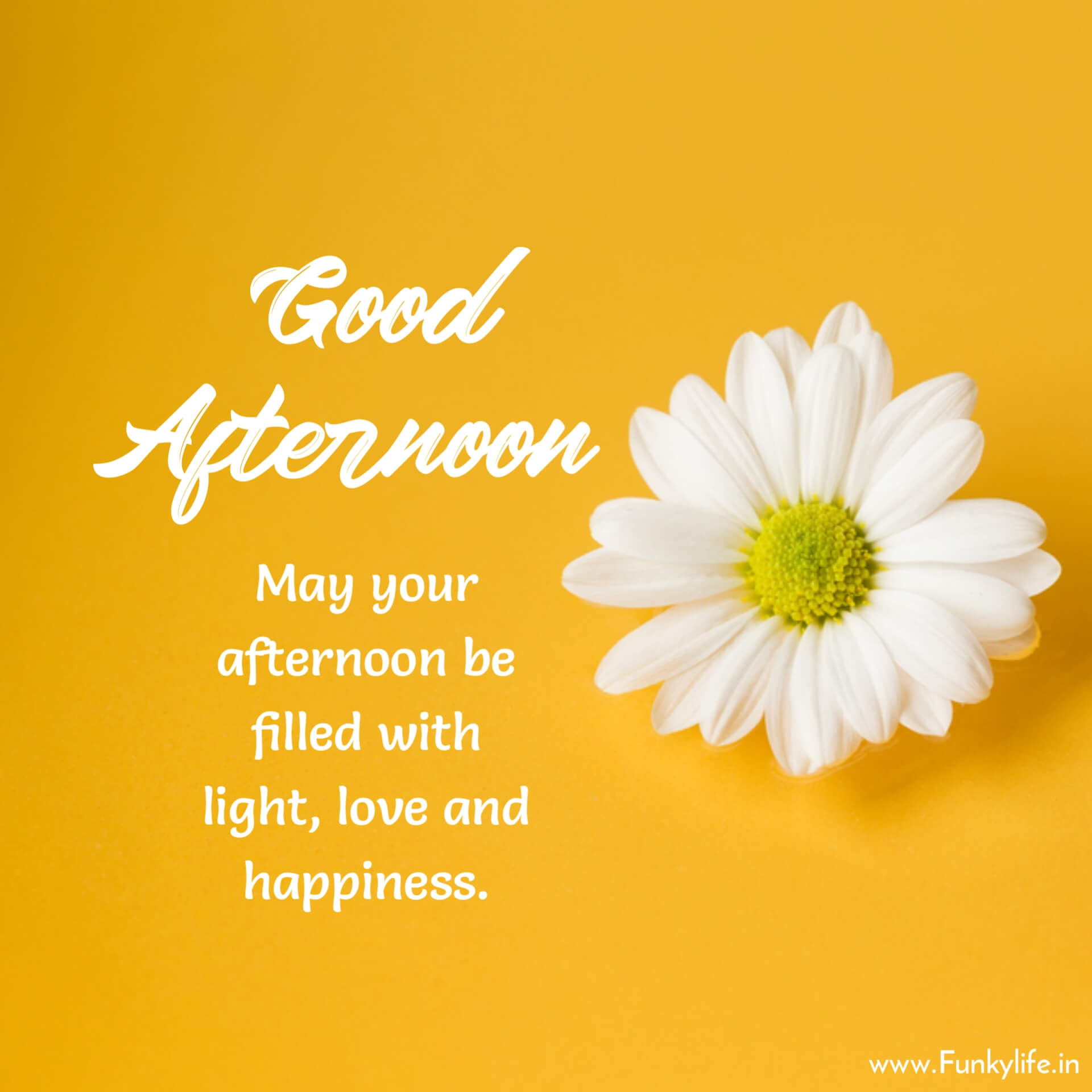 Good Afternoon wish Image with Quote