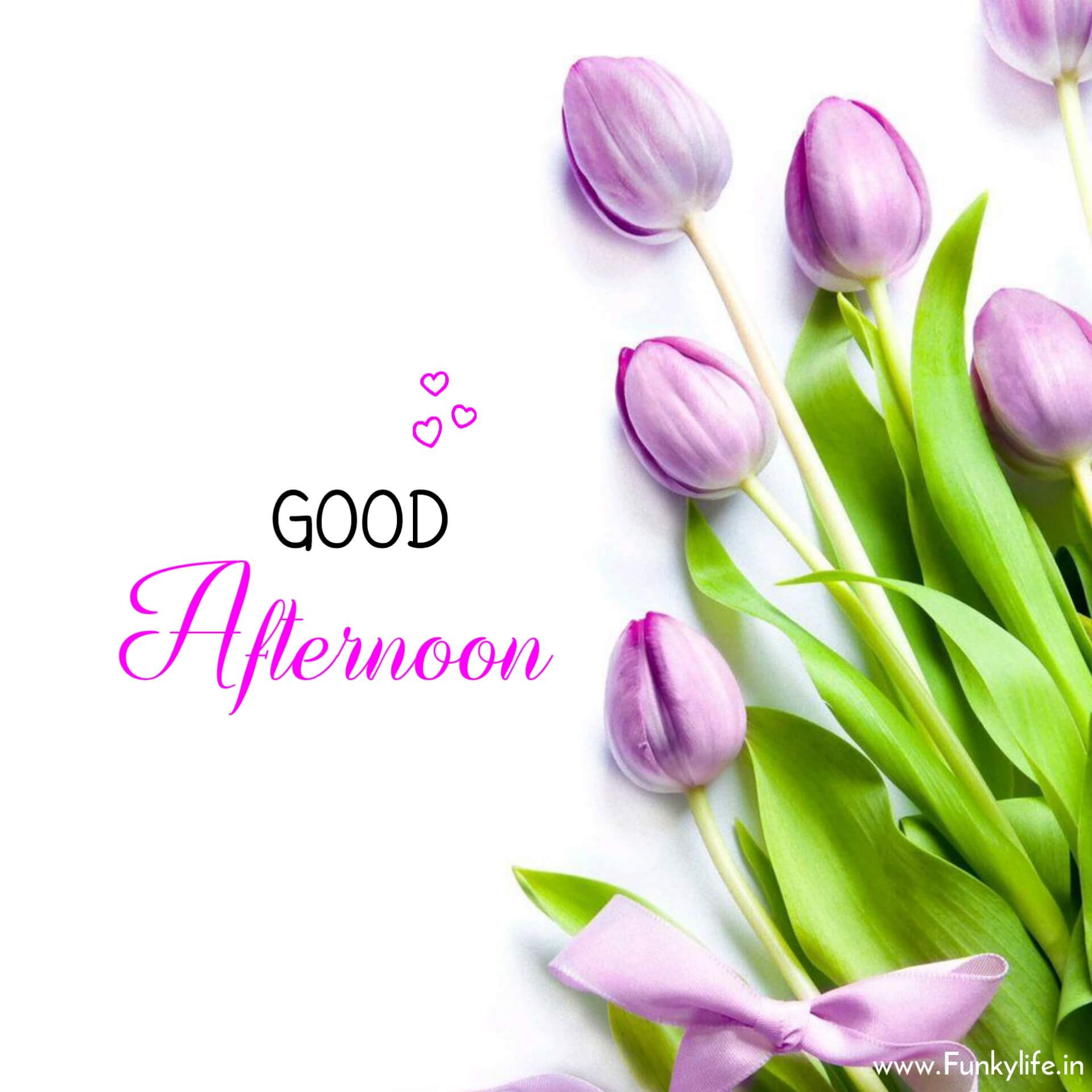 HD Good Afternoon Image