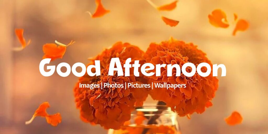 Good Afternoon Images
