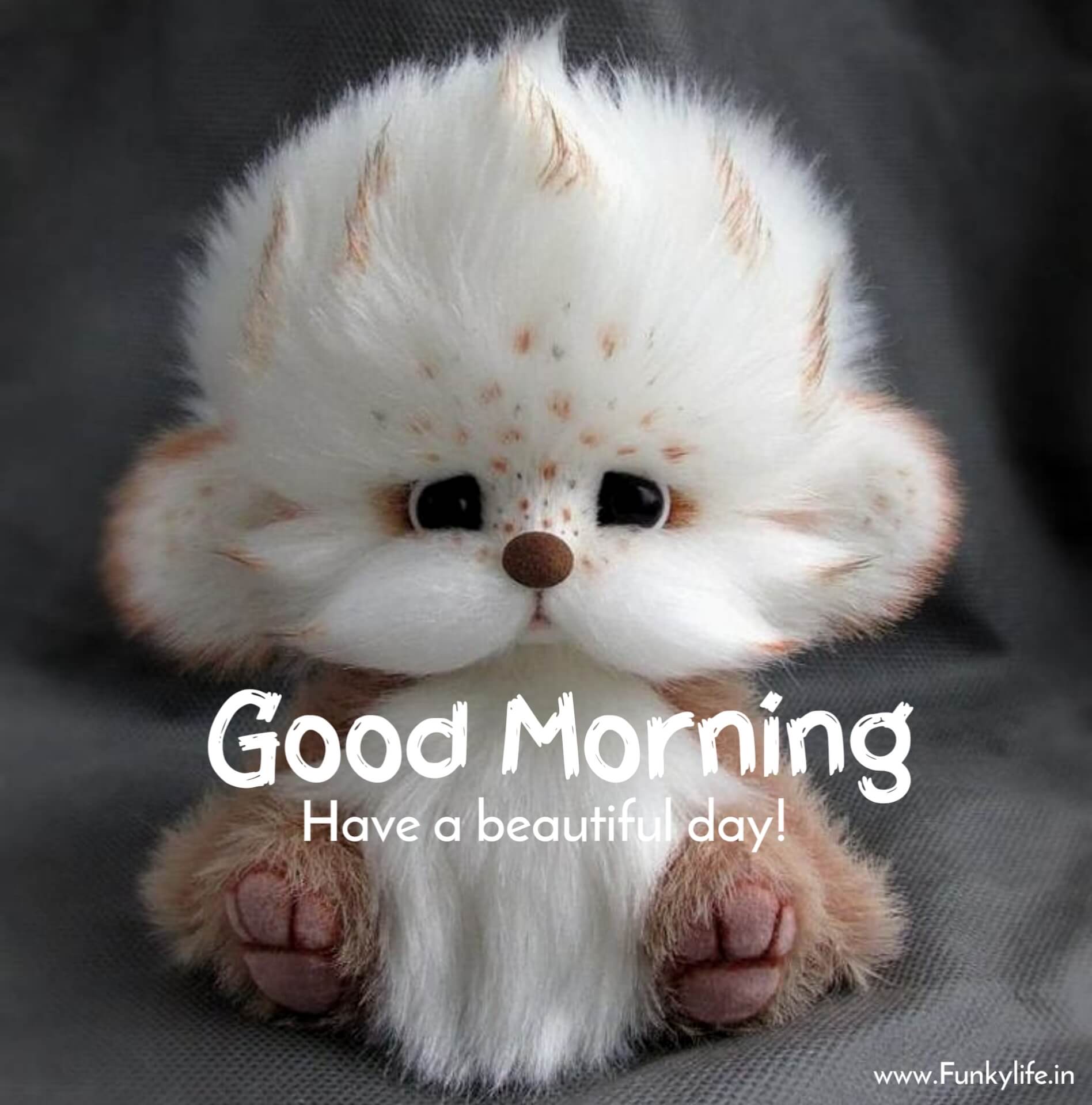 Cute Good Morning Pic