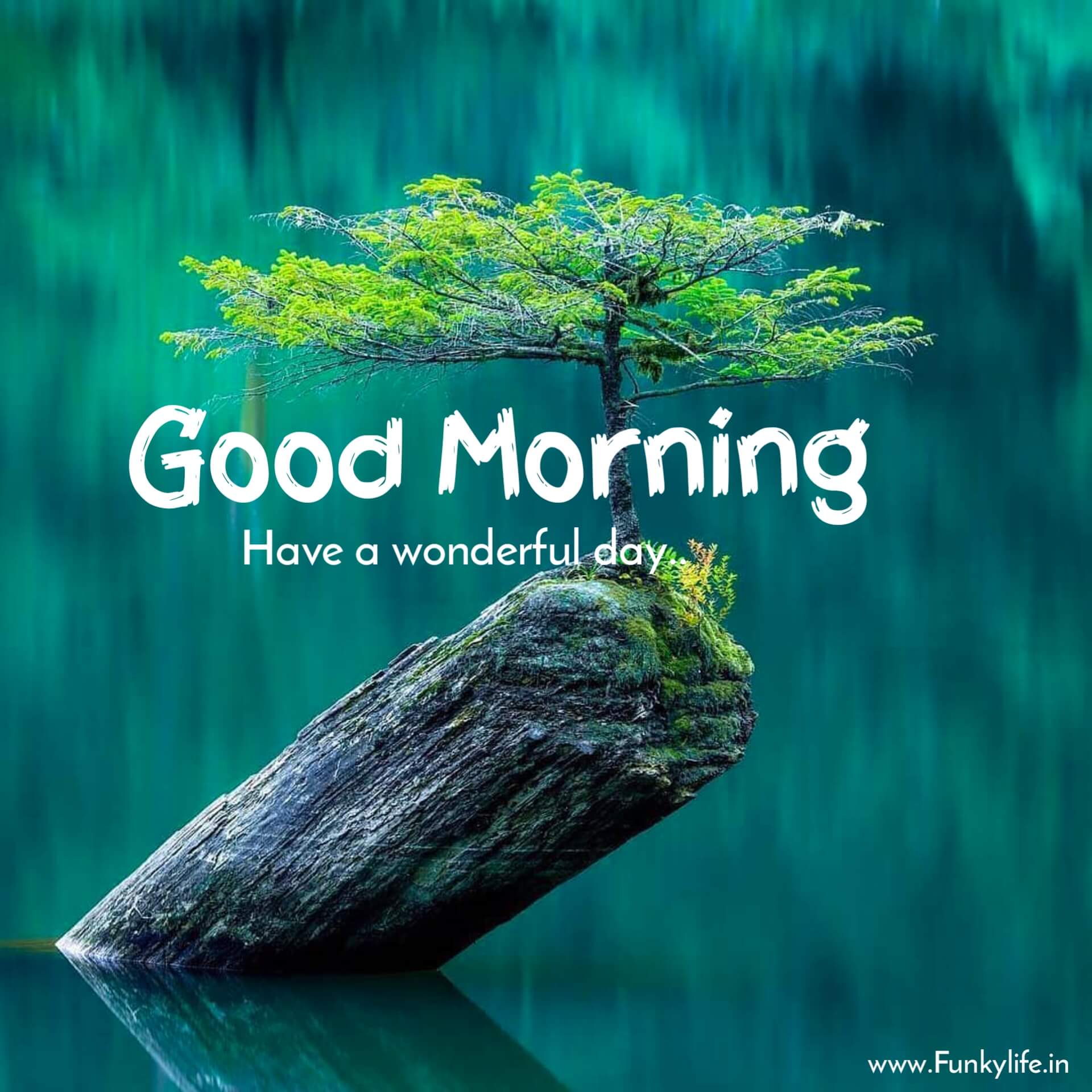 600+ New Good Morning Images, Quotes, Wallpaper & Wishes