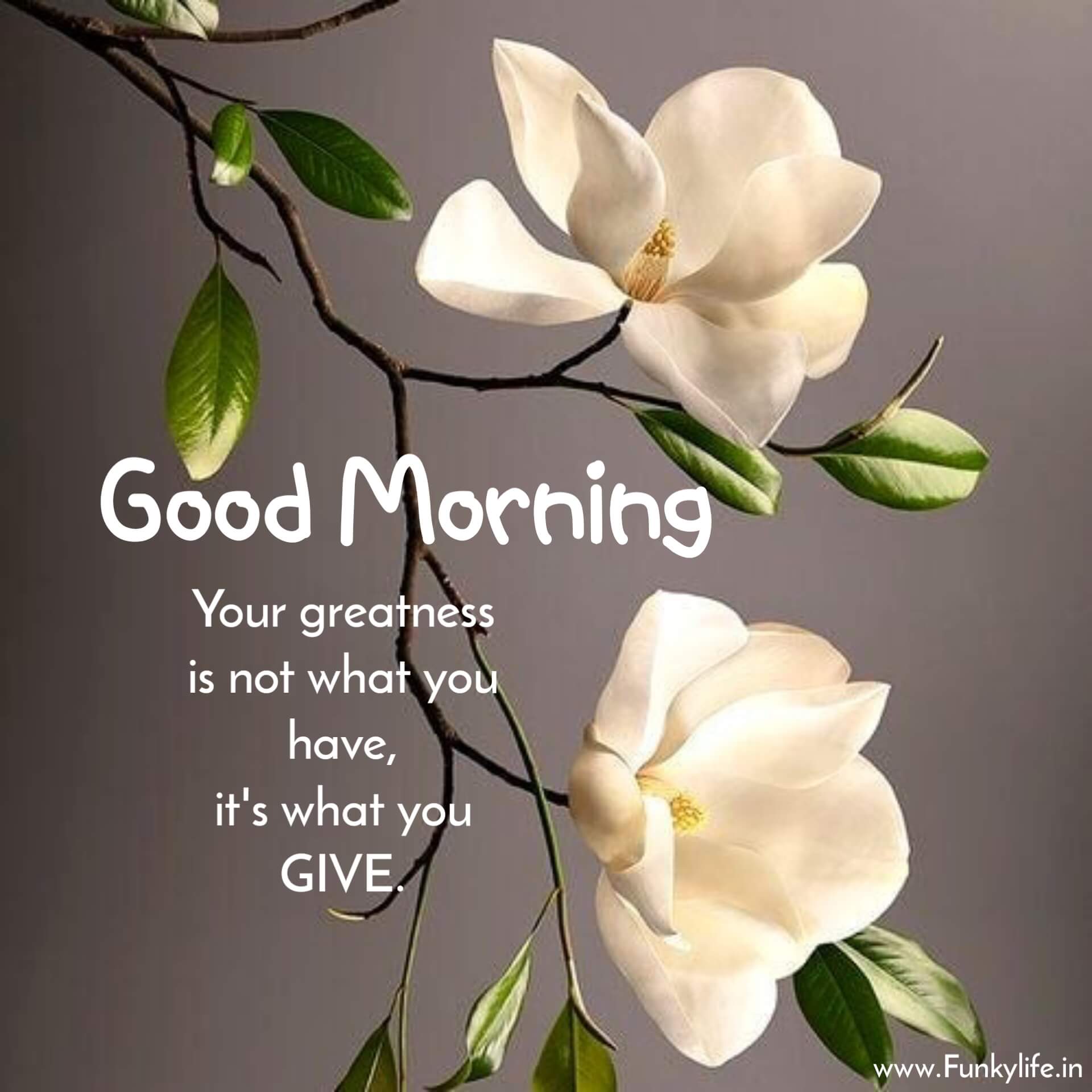 Good Morning Message Images