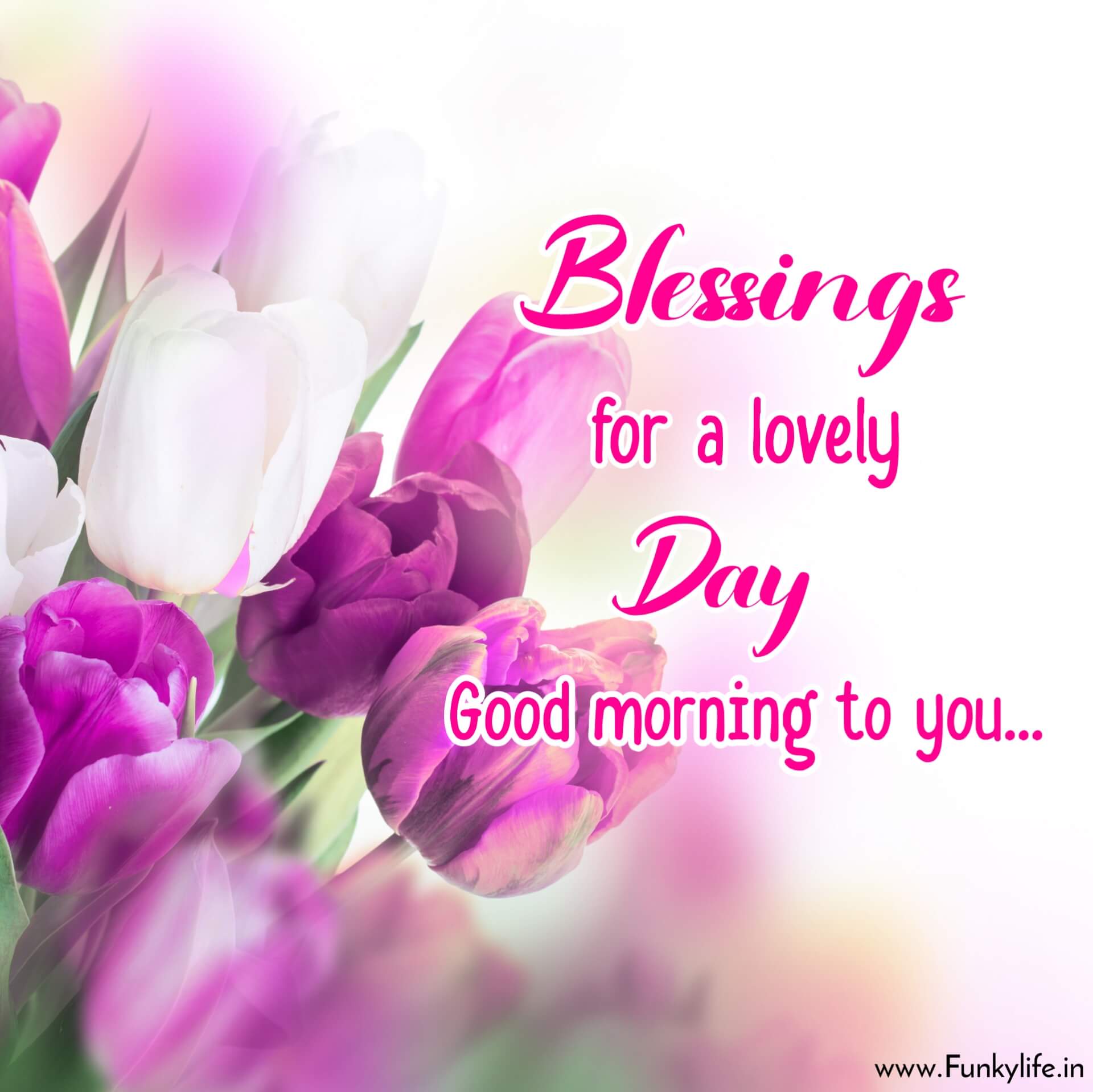 Blessings for a lovely day good morning