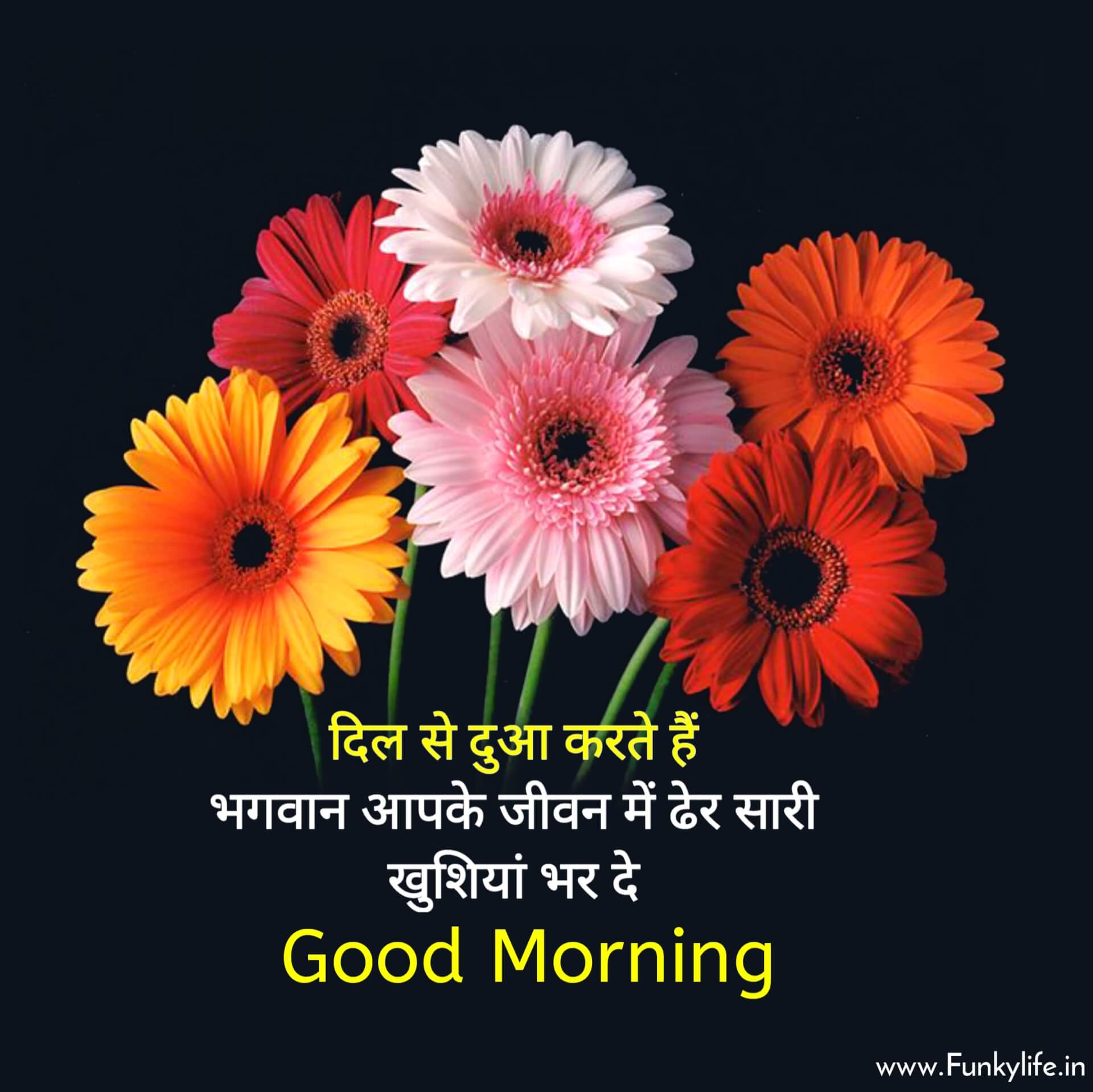 Good Morning Image Hindi