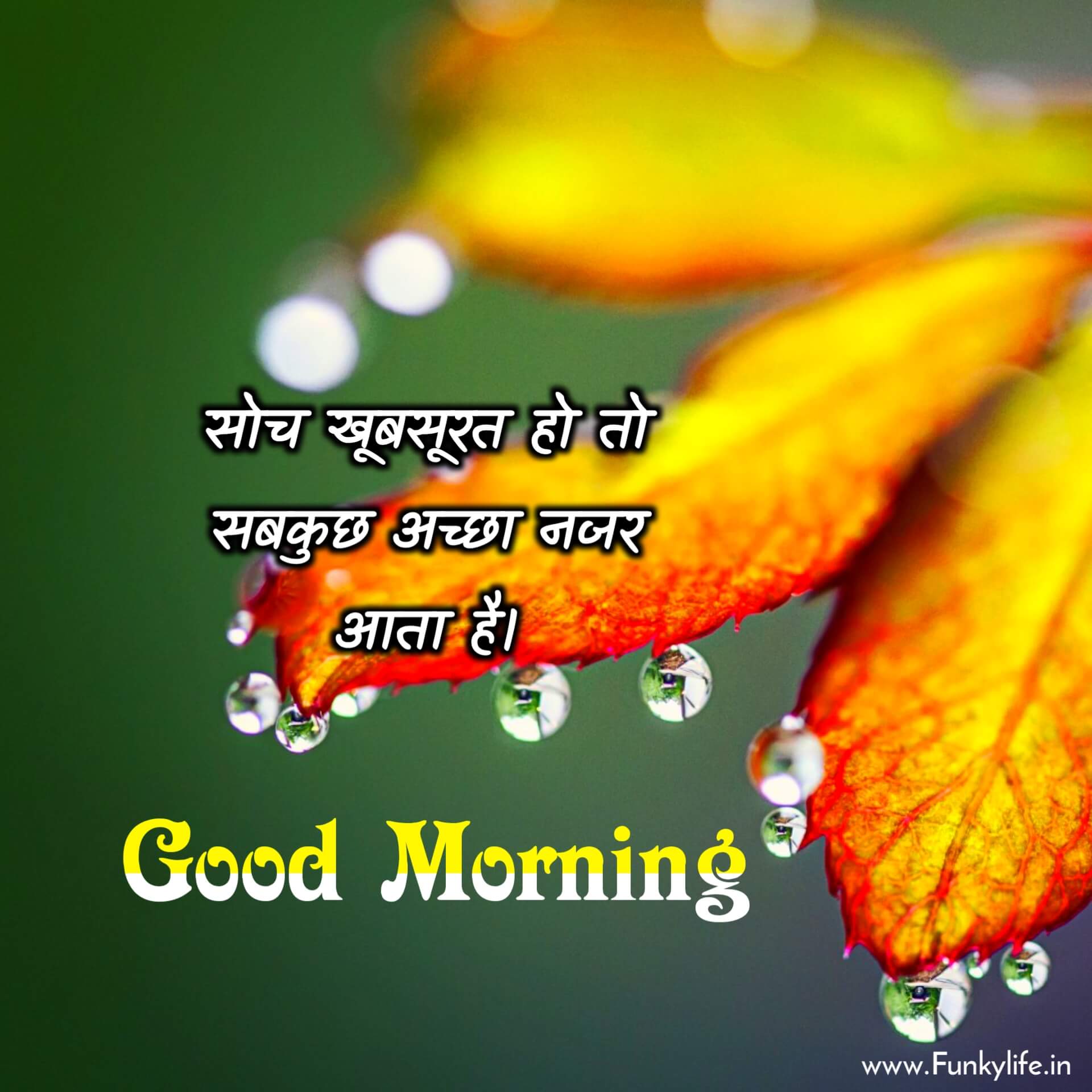 Good Morning Images Hindi