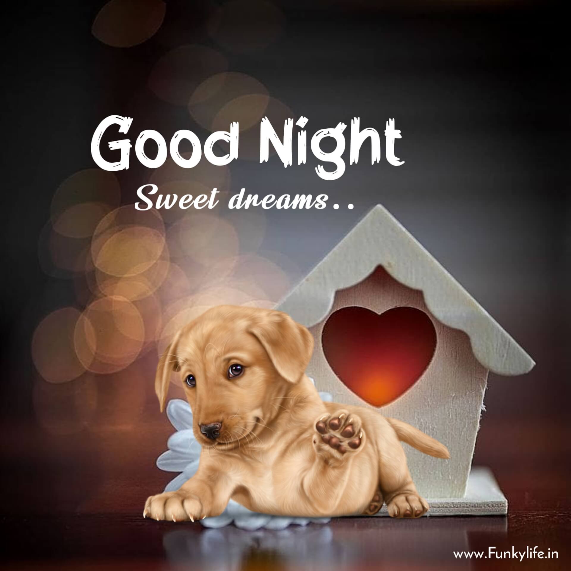 Cute Dog Say Good Night