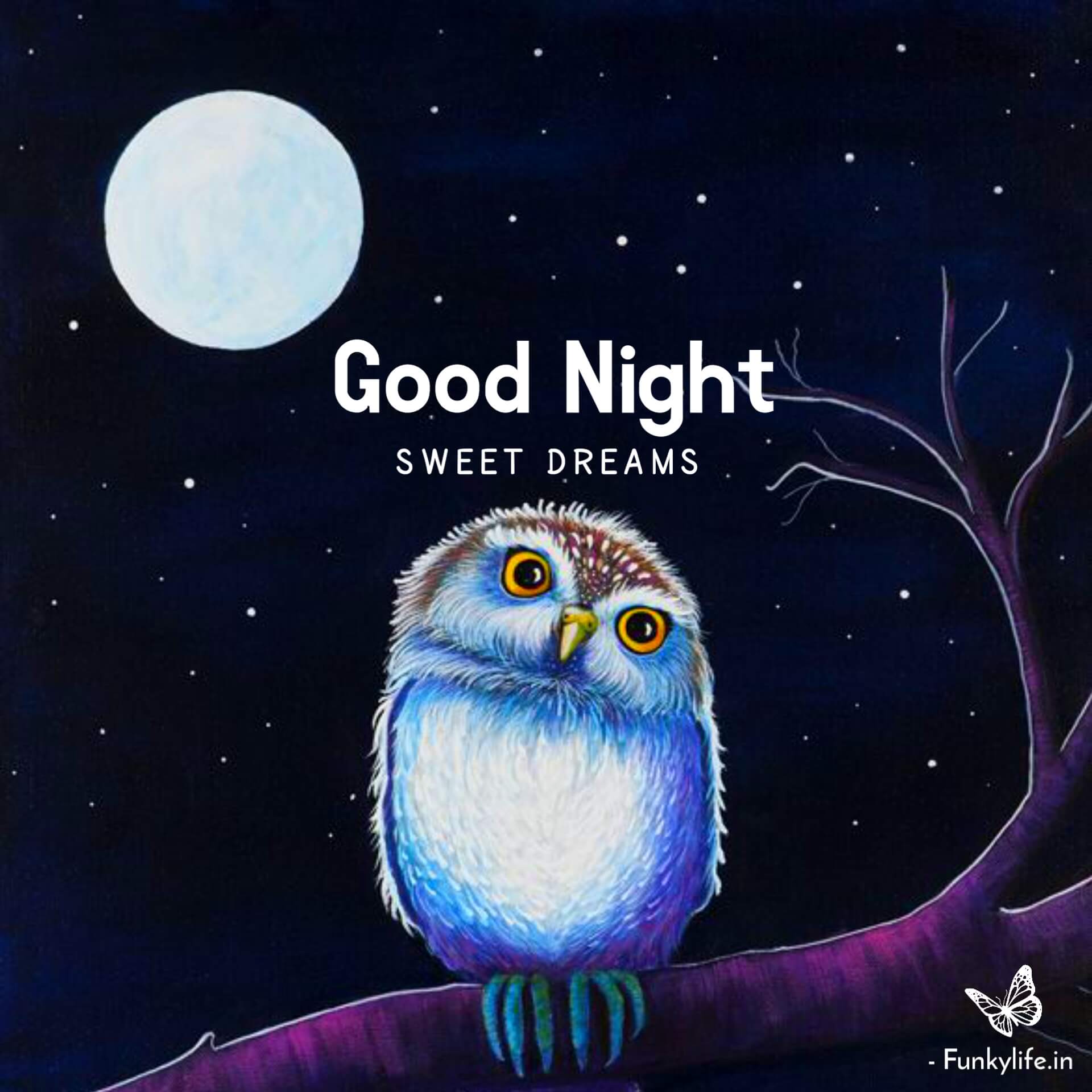 good night owl images